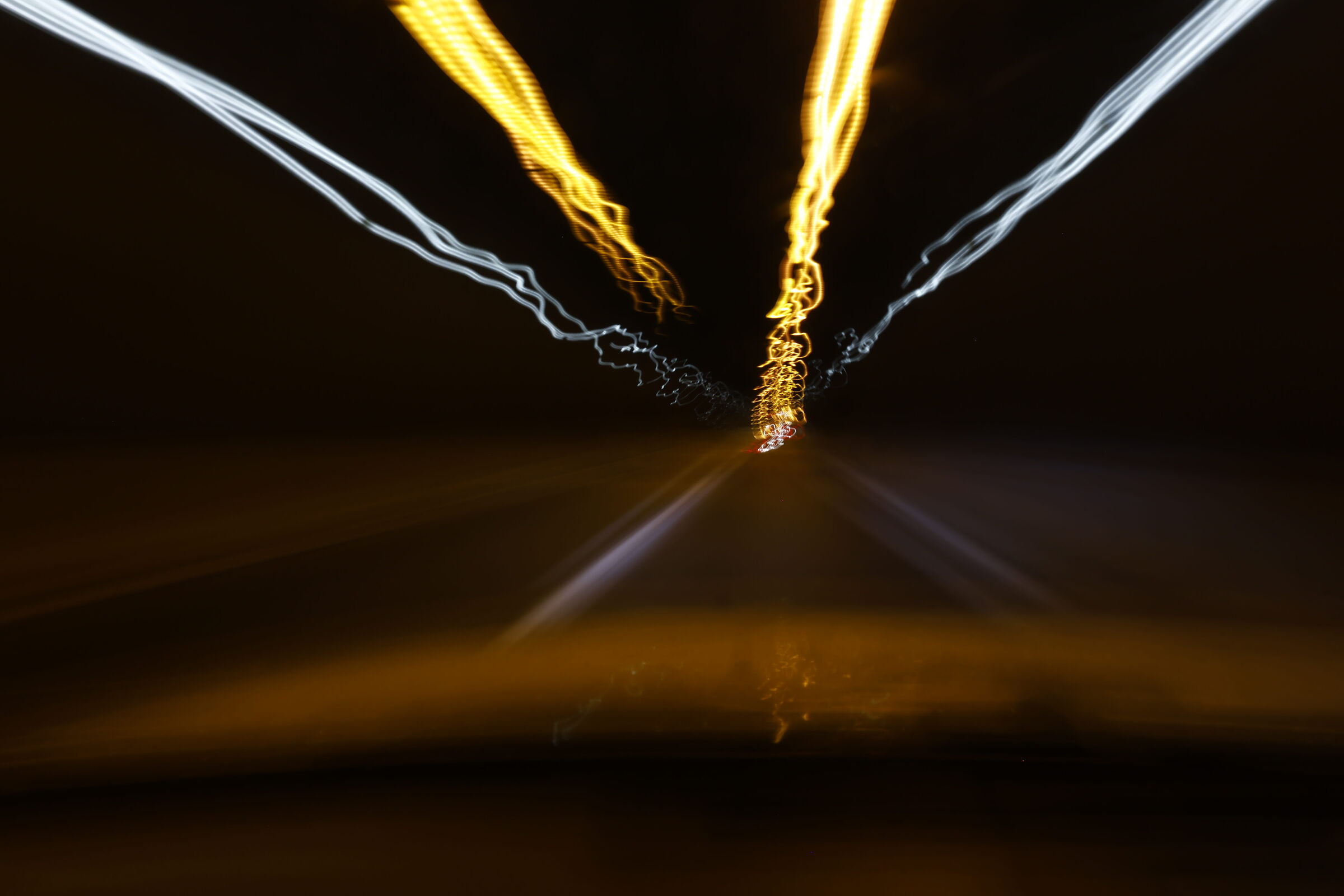 Untitled Photo