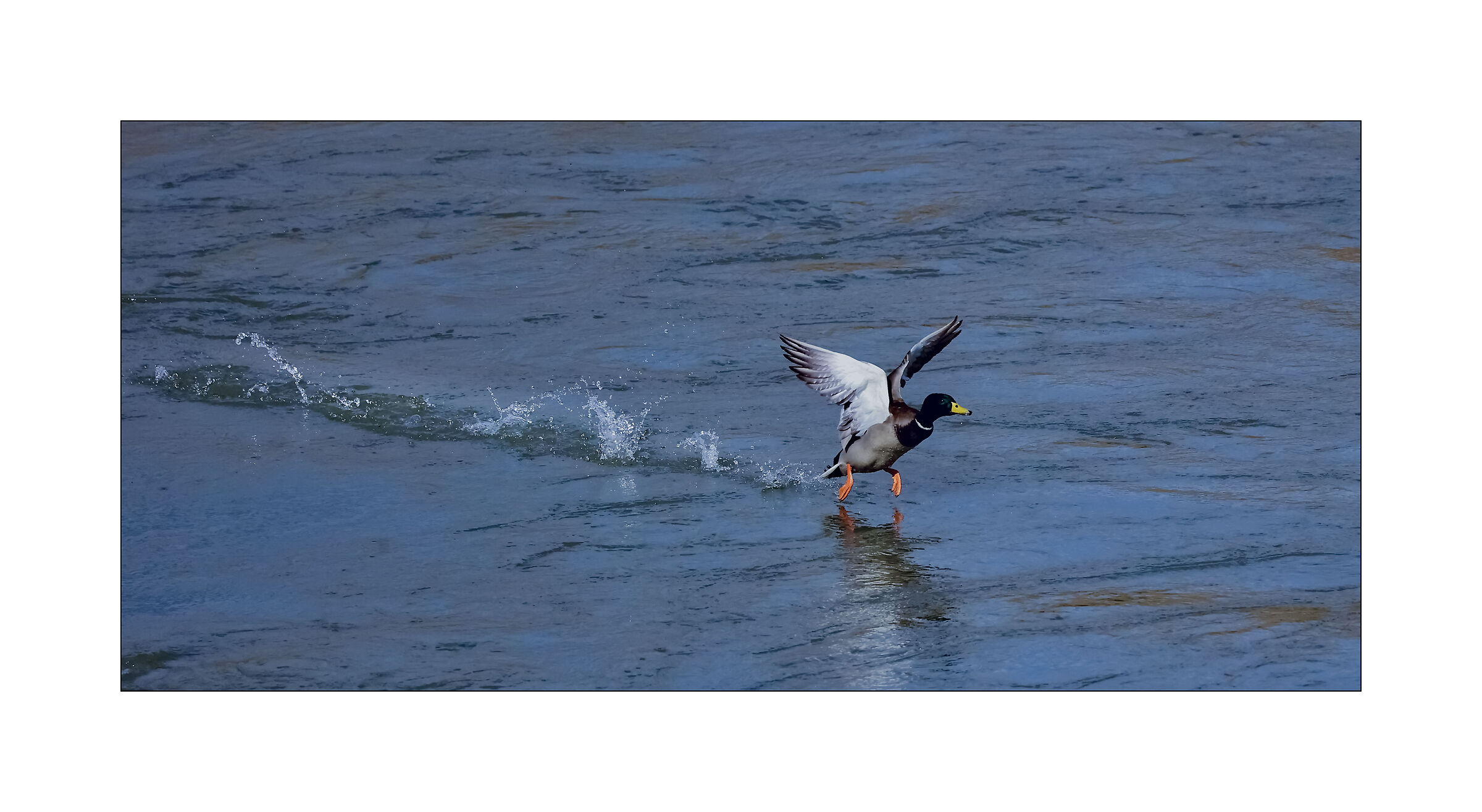 Take-off