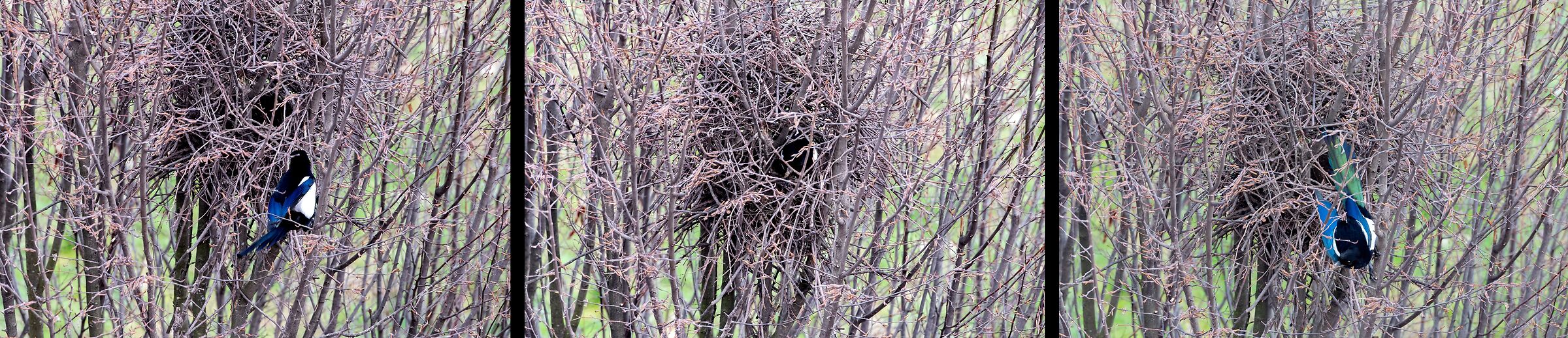 Work in progress 2nd part