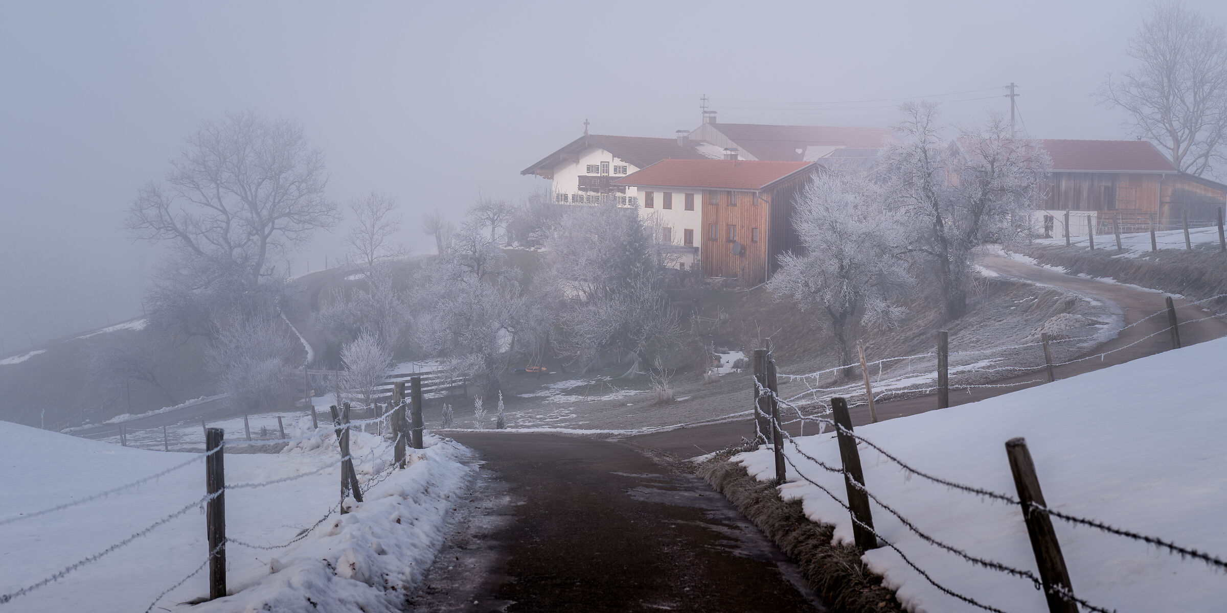 Still waiting for the snow