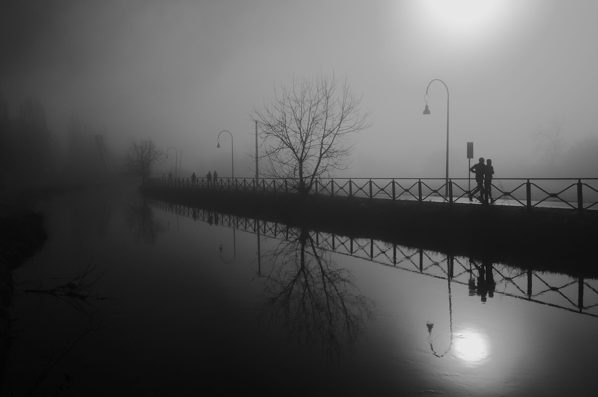 Nebbia sulla Martesana