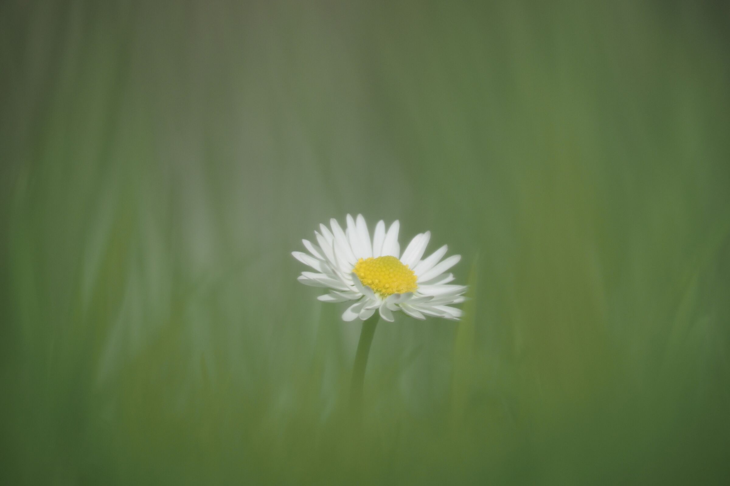 provando il 100-300 II (e-p7)