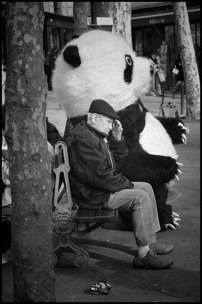 Foto