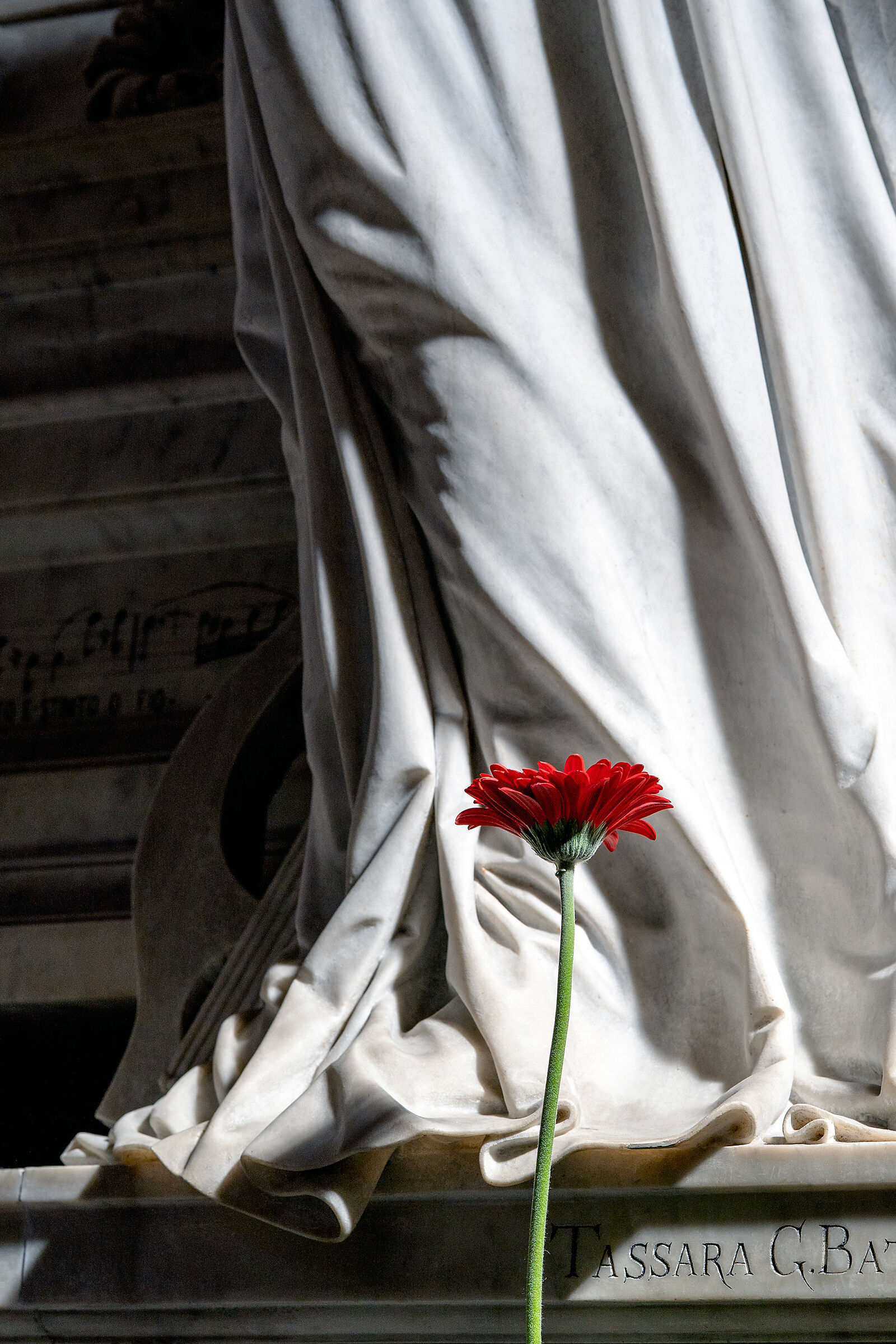 Un omaggio floreale a Vincenzo Bellini