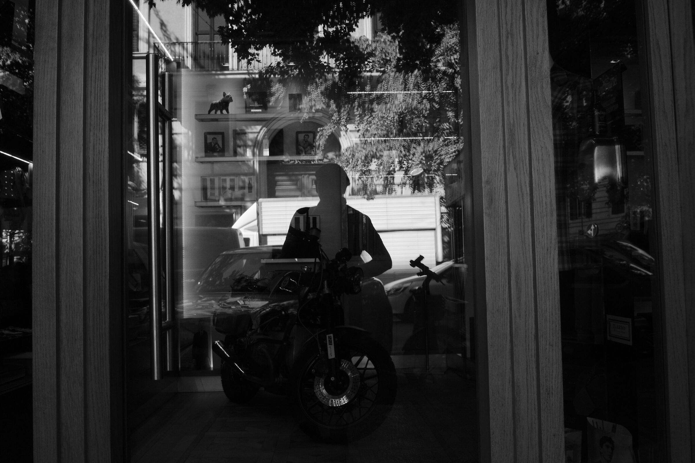 The shop windows