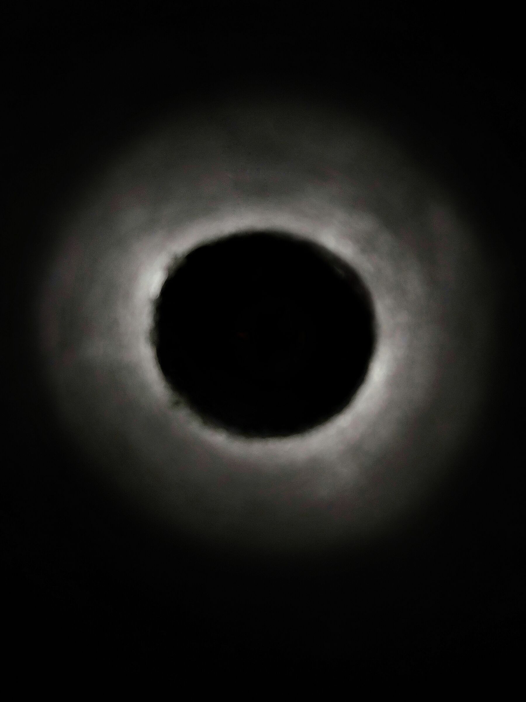 Eclissi (di Carta Igienica)