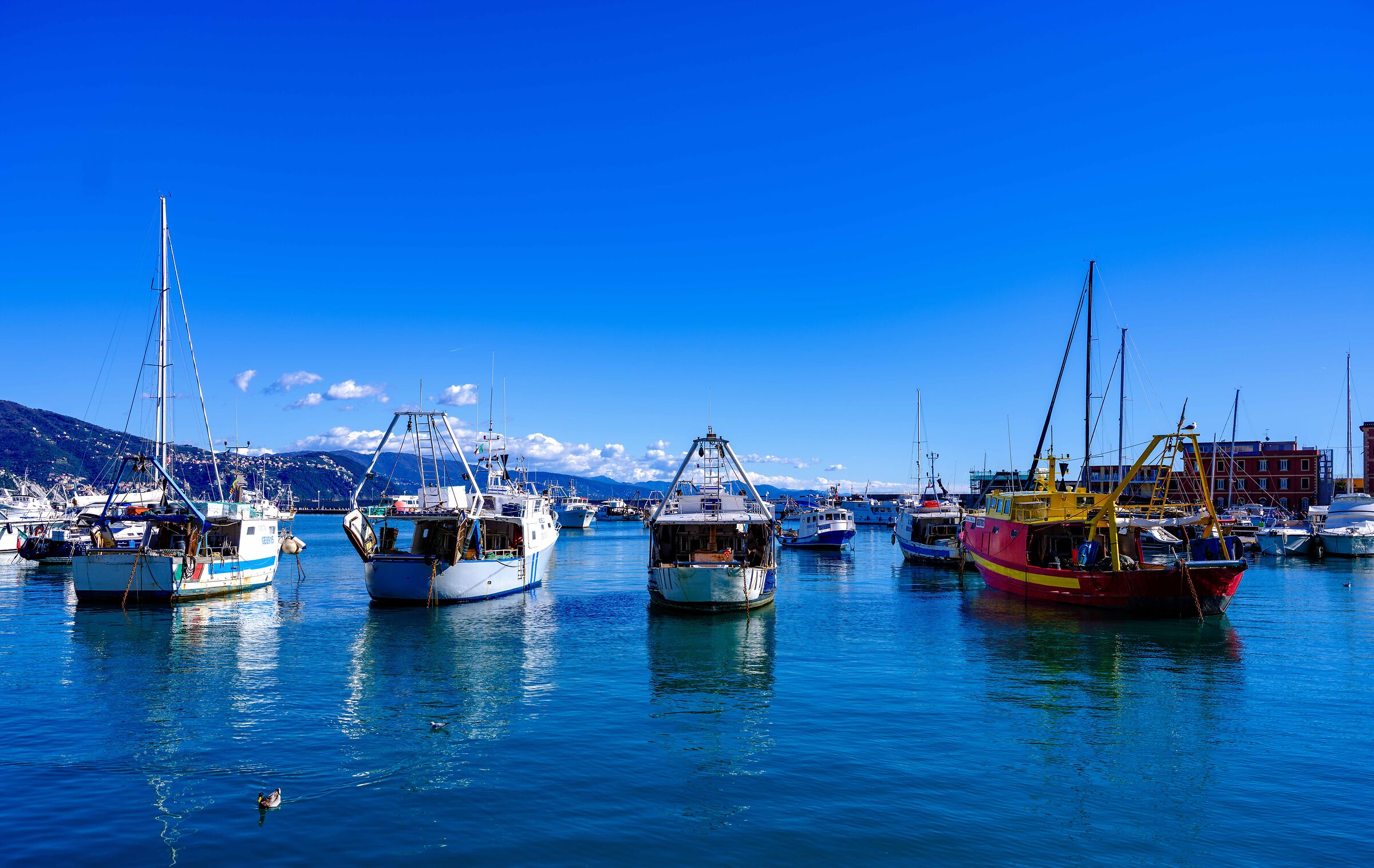 The Three Musketeers