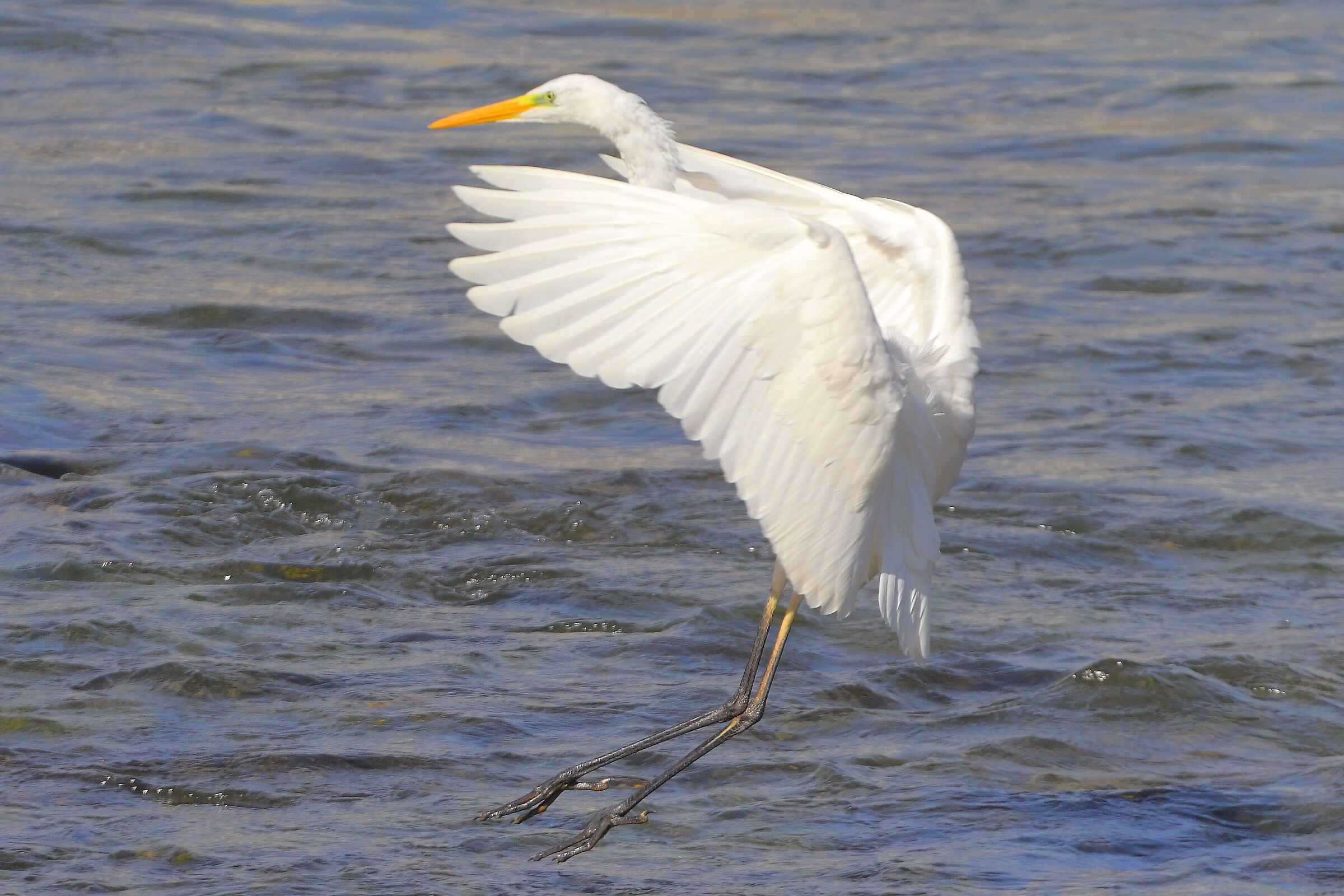 ABM 16 settembre 2025 - 0216