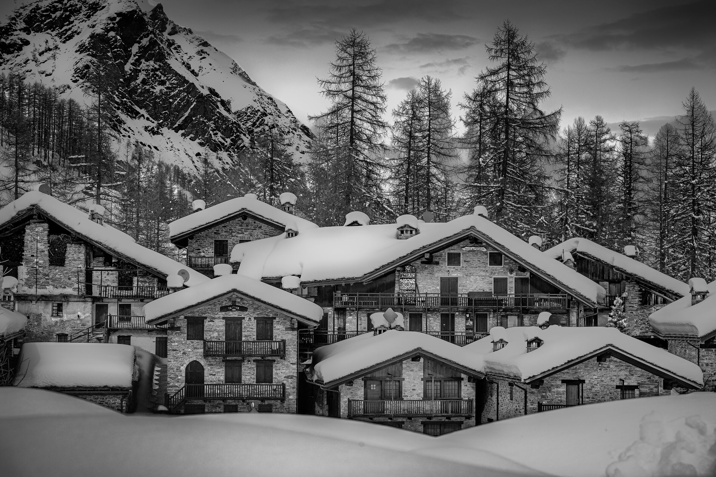 Quanta neve!