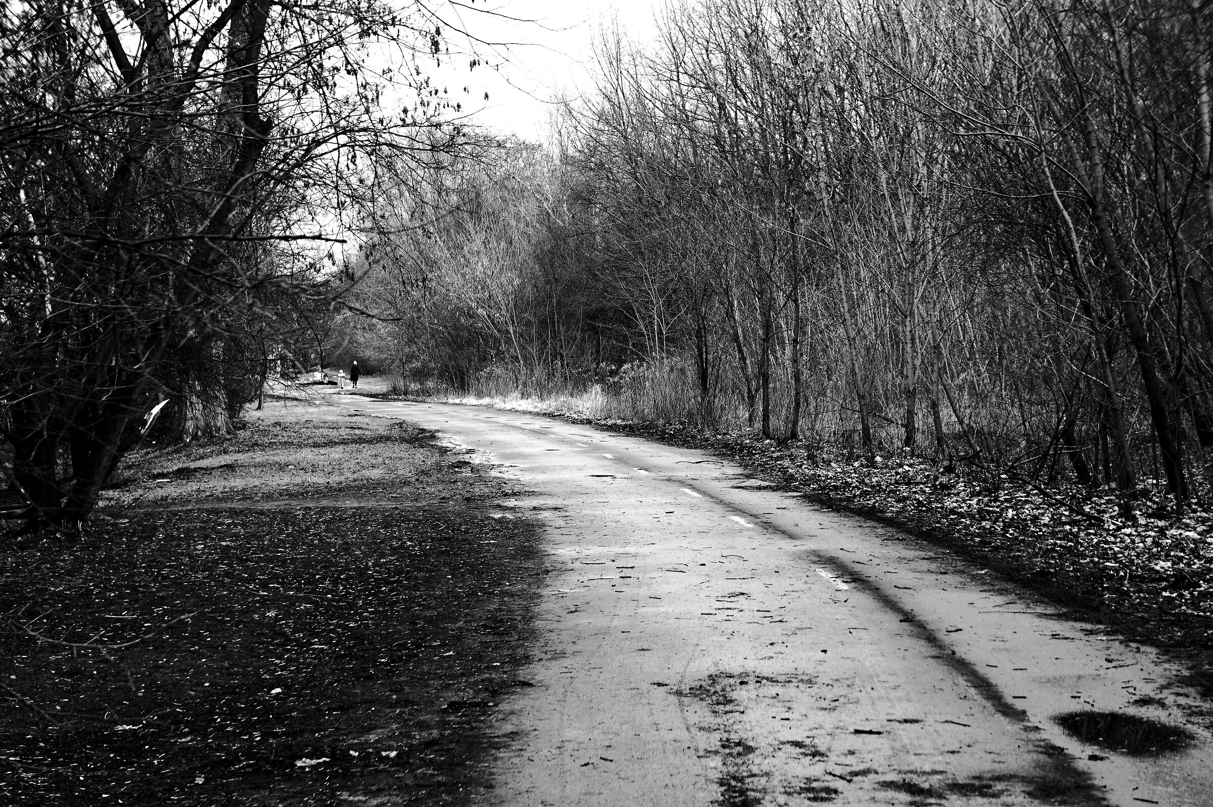 ... E poi sarà colorato?