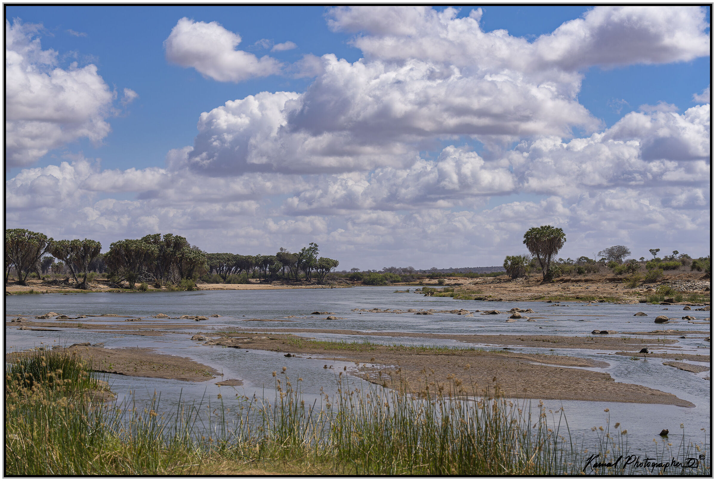 Tsavo River - Kenya