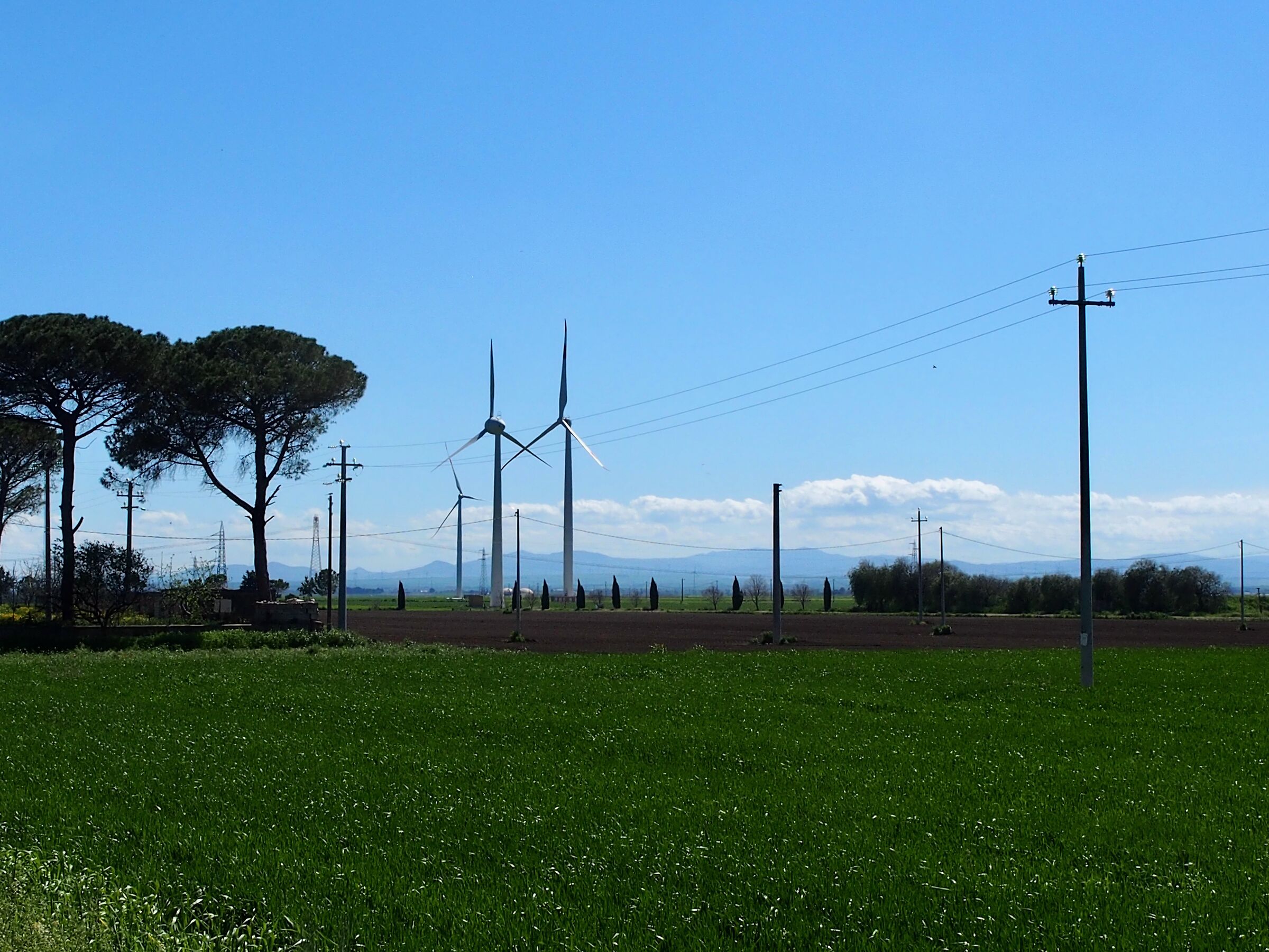 Montenero di Bisaccia