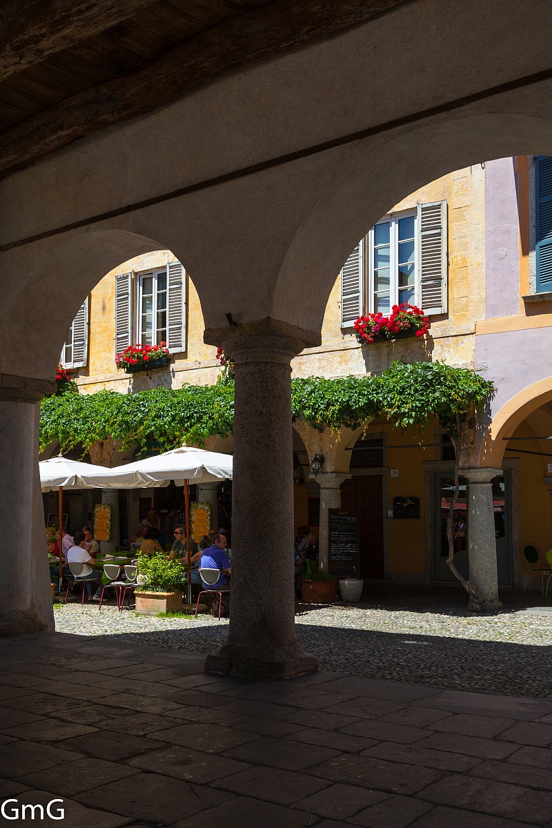 Geranium in the arcs