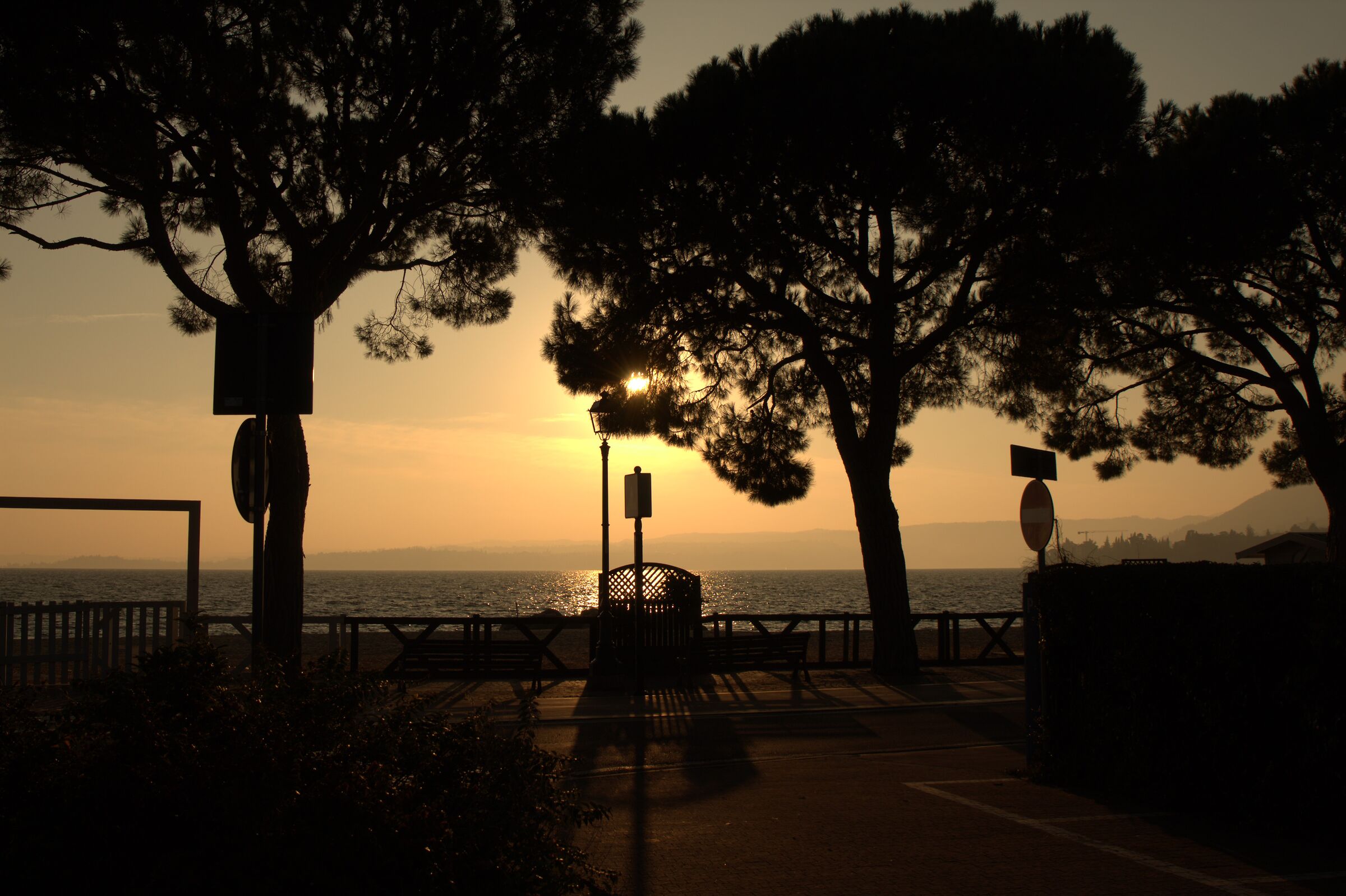 Untitled Photo