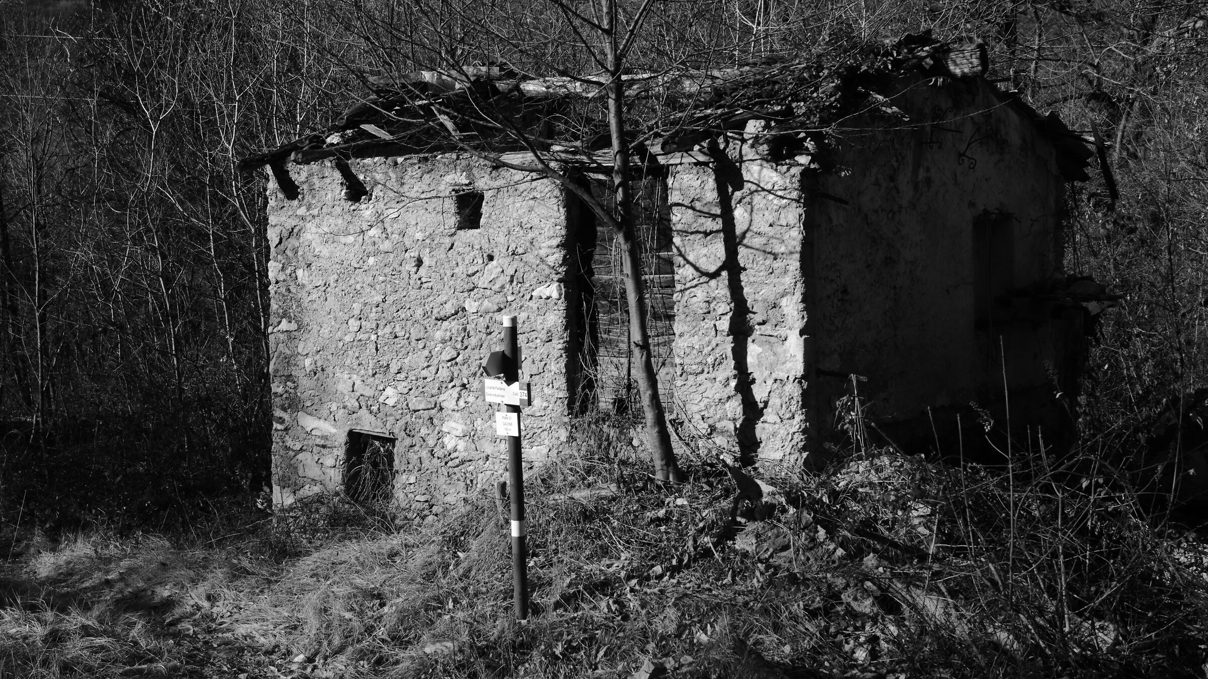 monochrome ruins