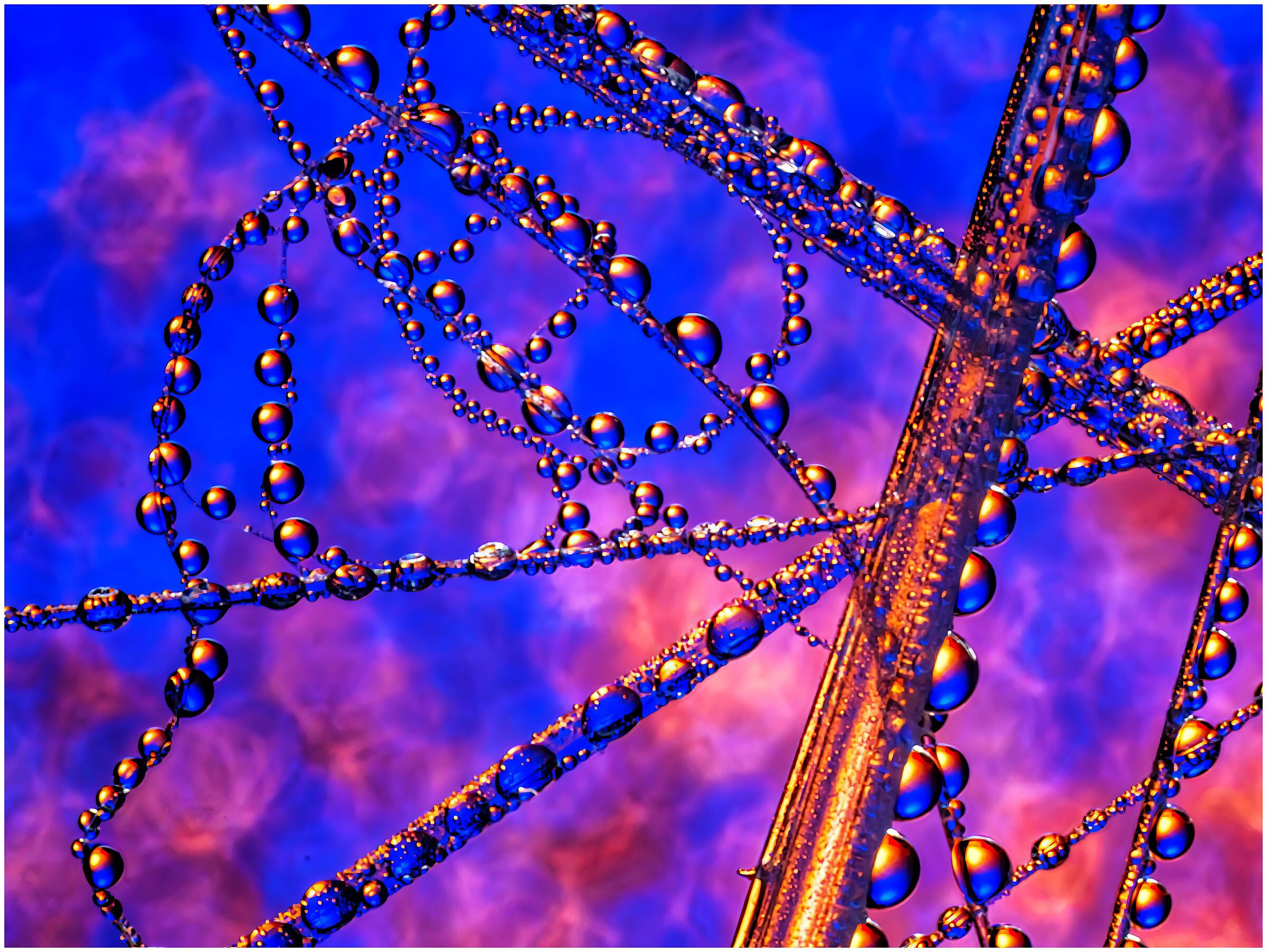 Linee forme e gocce d'acqua