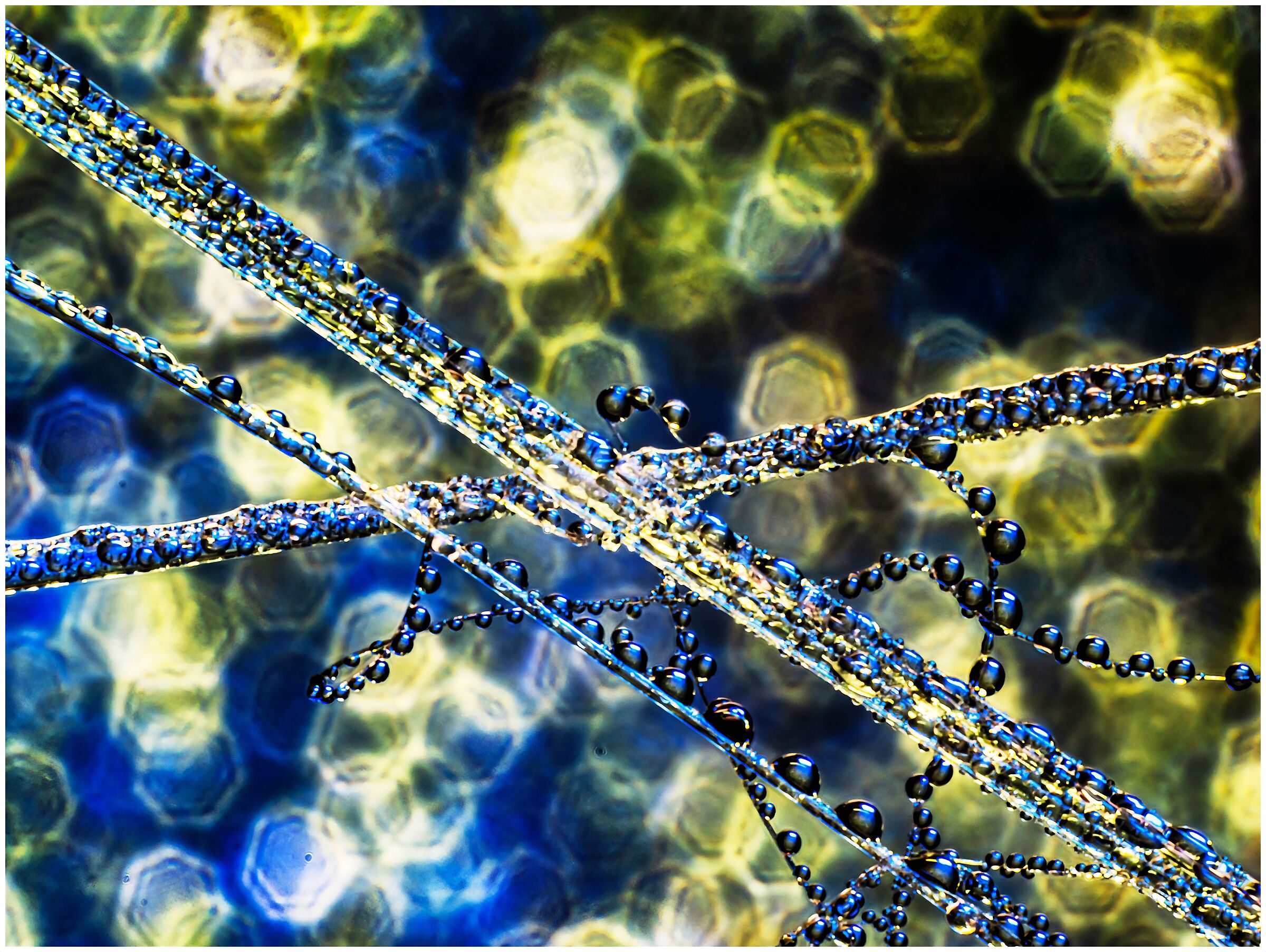 Linee forme e gocce d'acqua