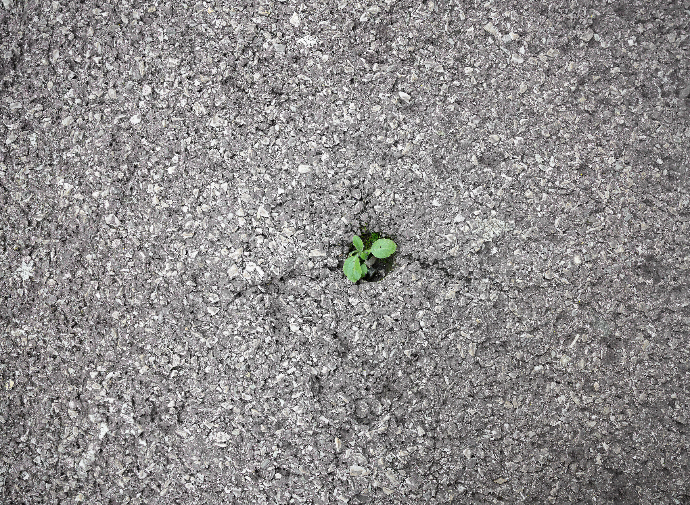 Resiliency