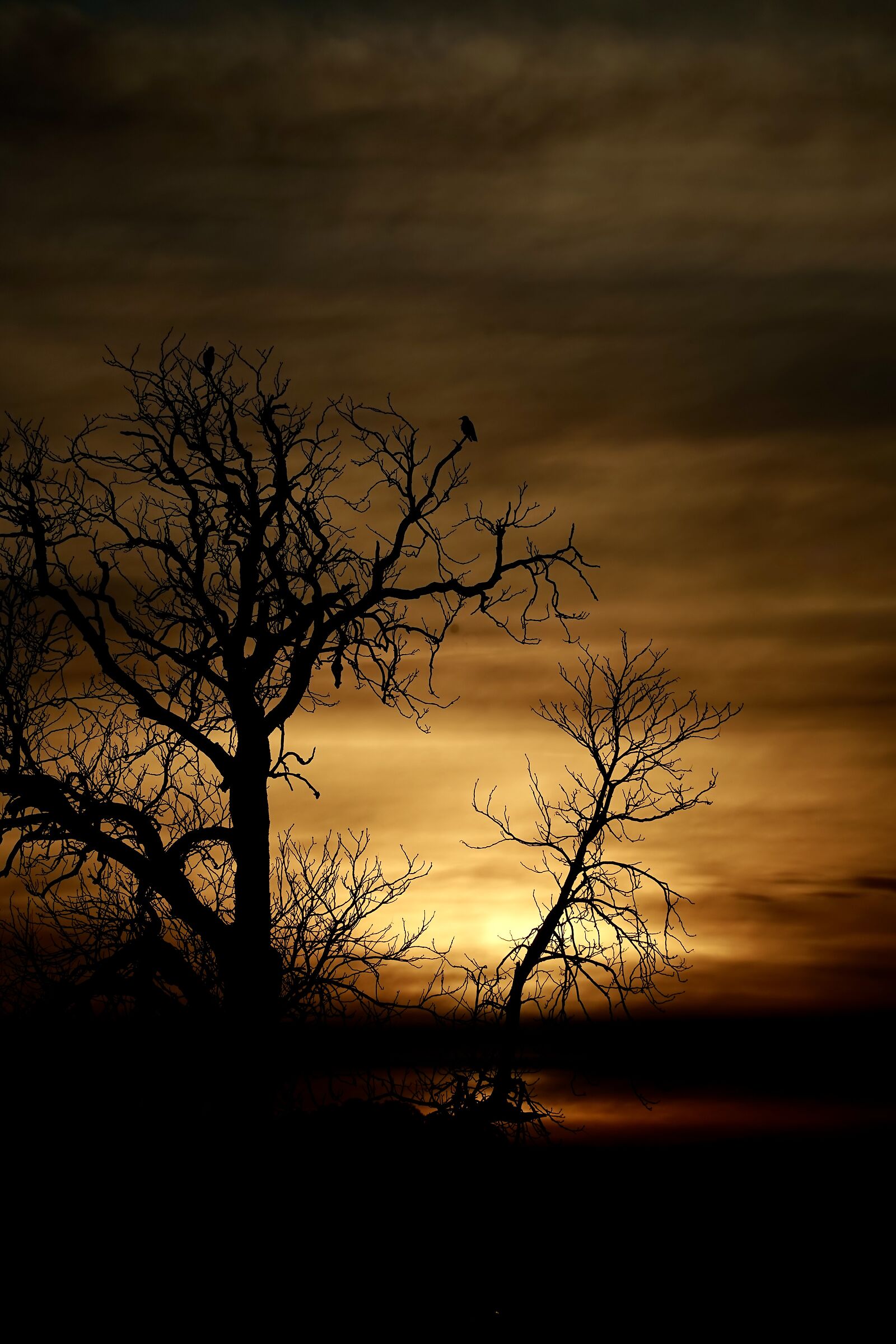 Winter sunset on the Plain of Gorizia