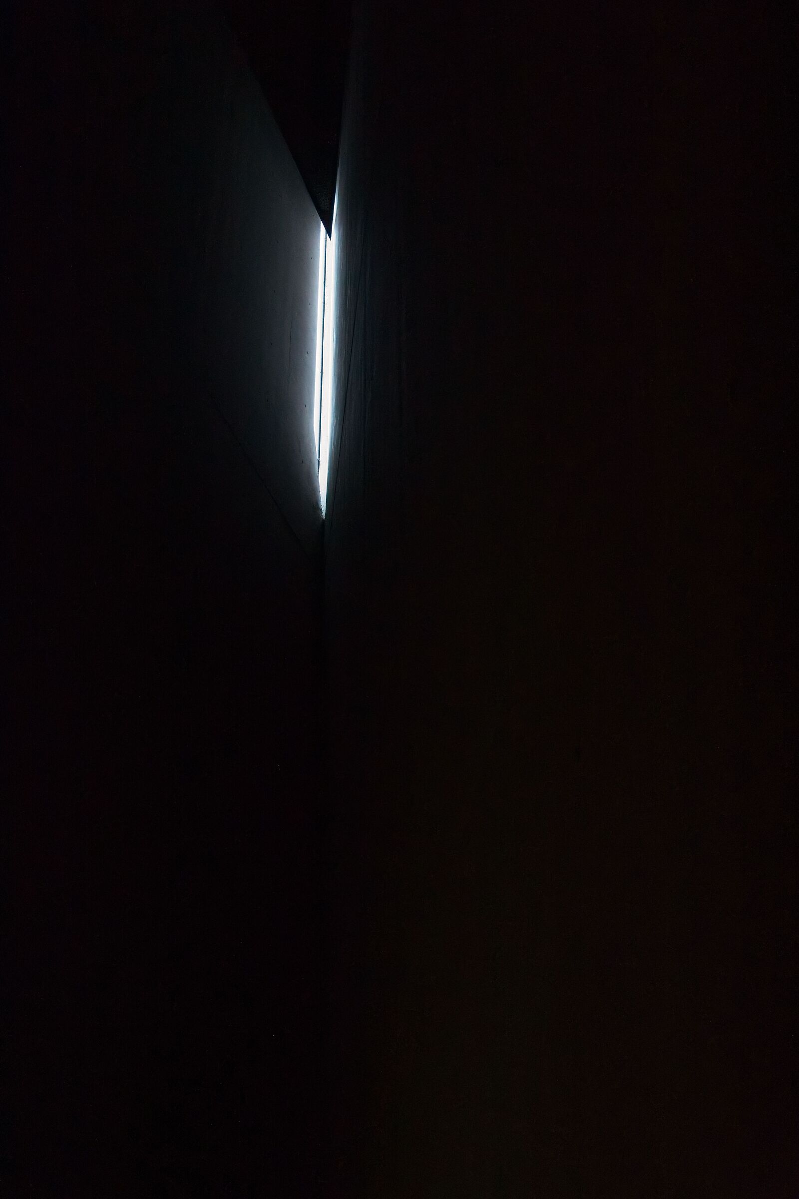 Untitled Photo