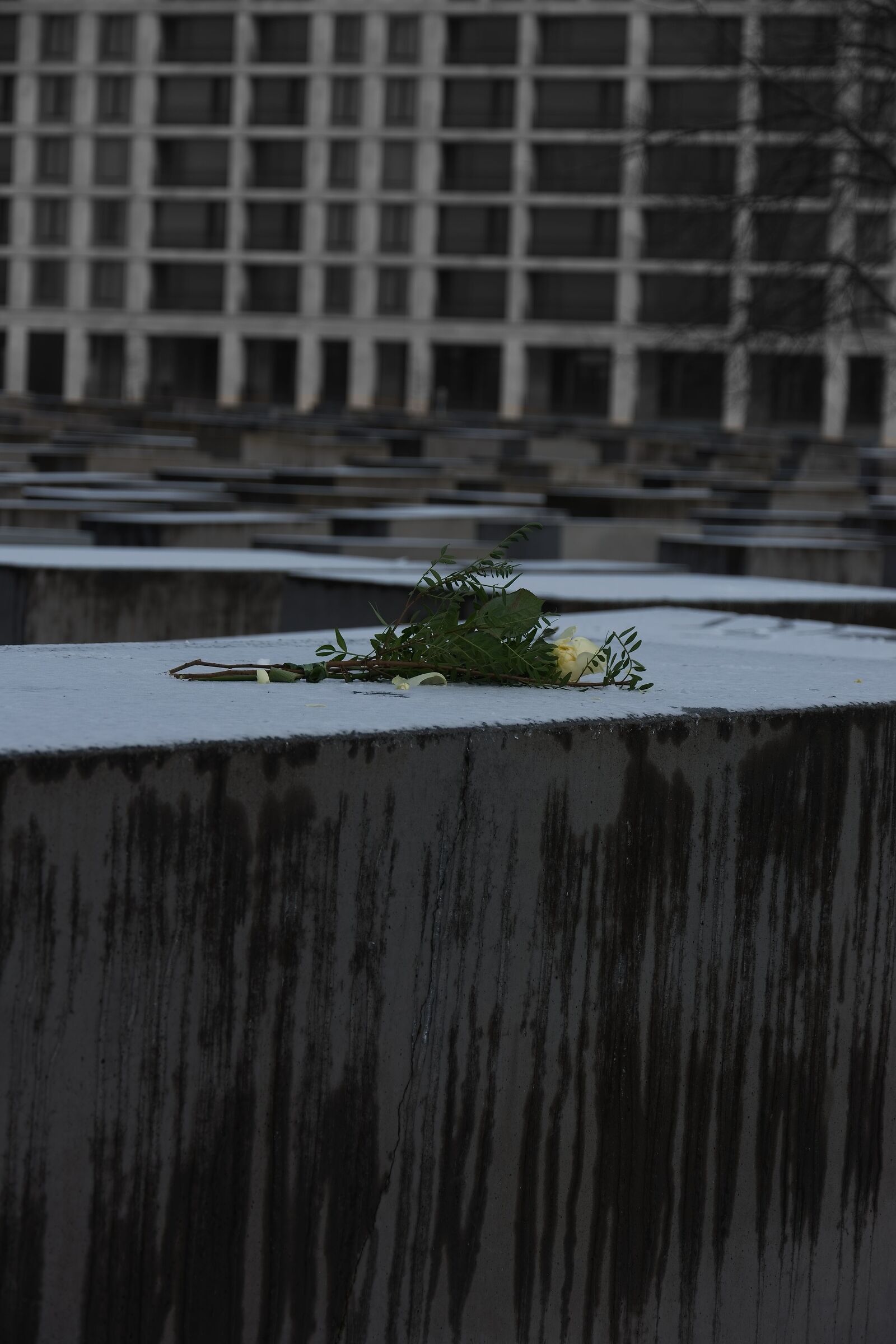 Untitled Photo