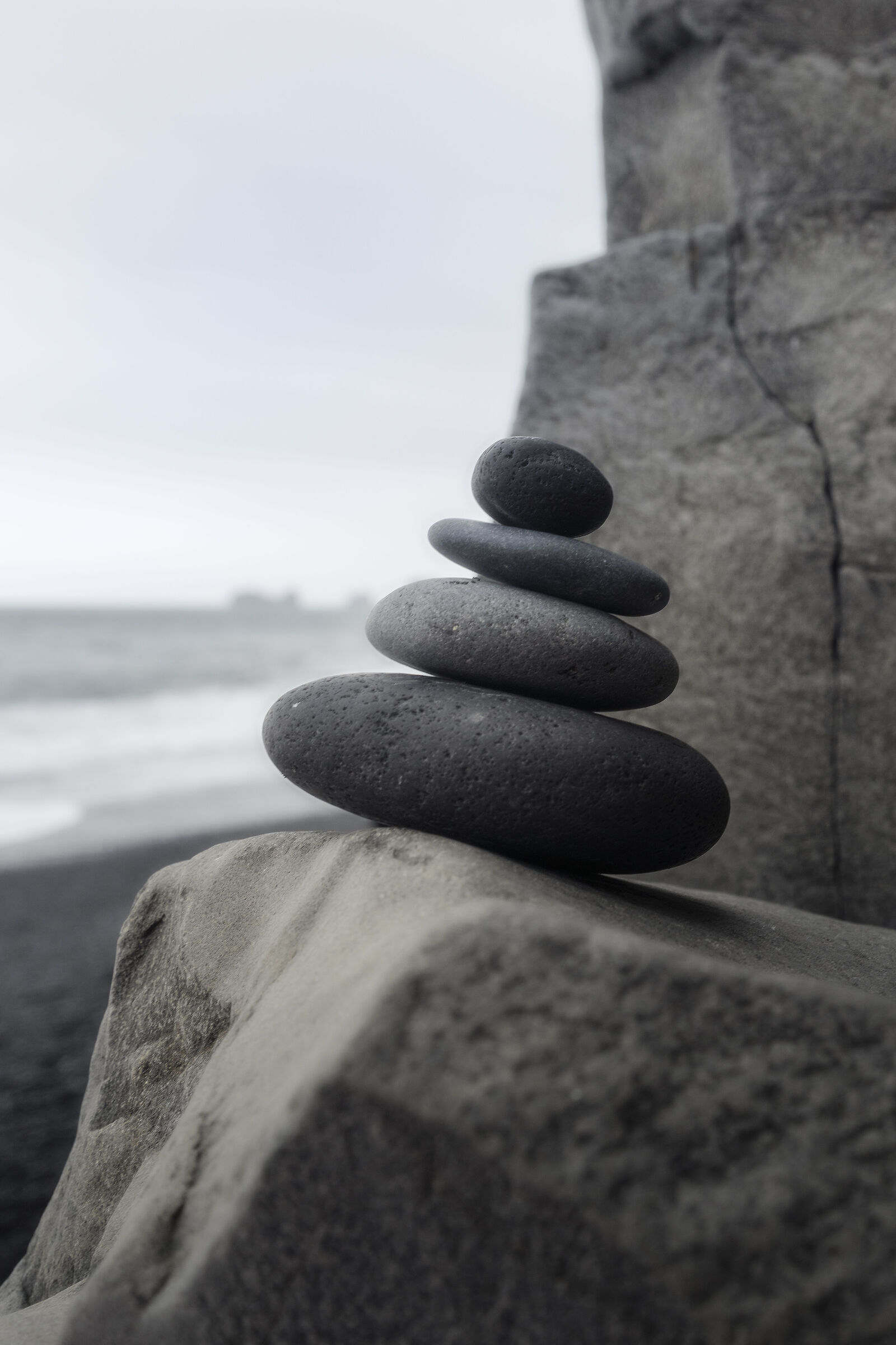 Il sottile equilibrio della Natura