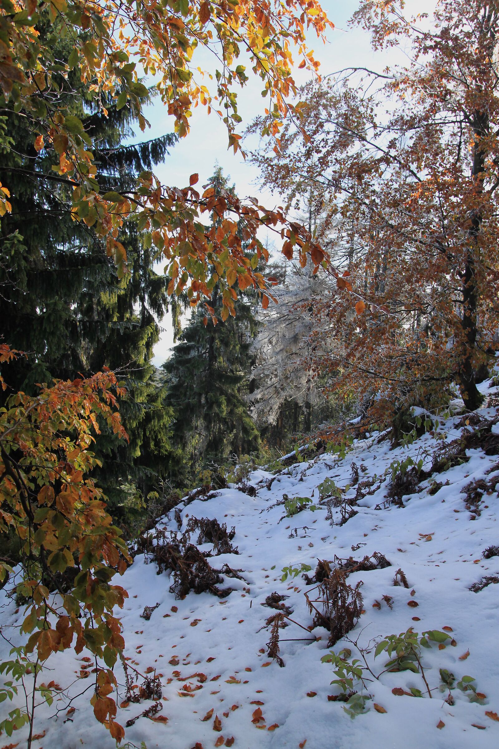 Untitled Photo