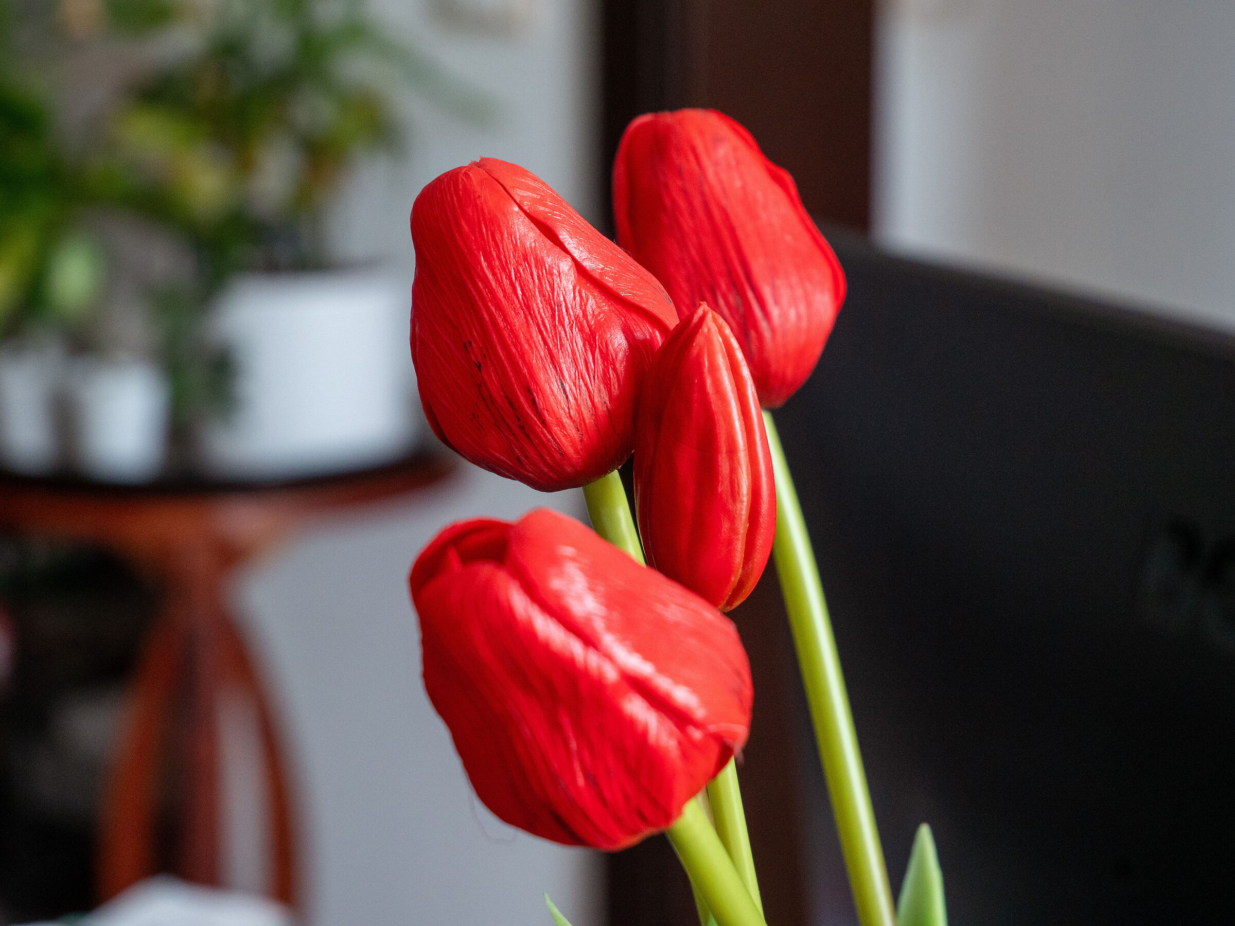 Tulips