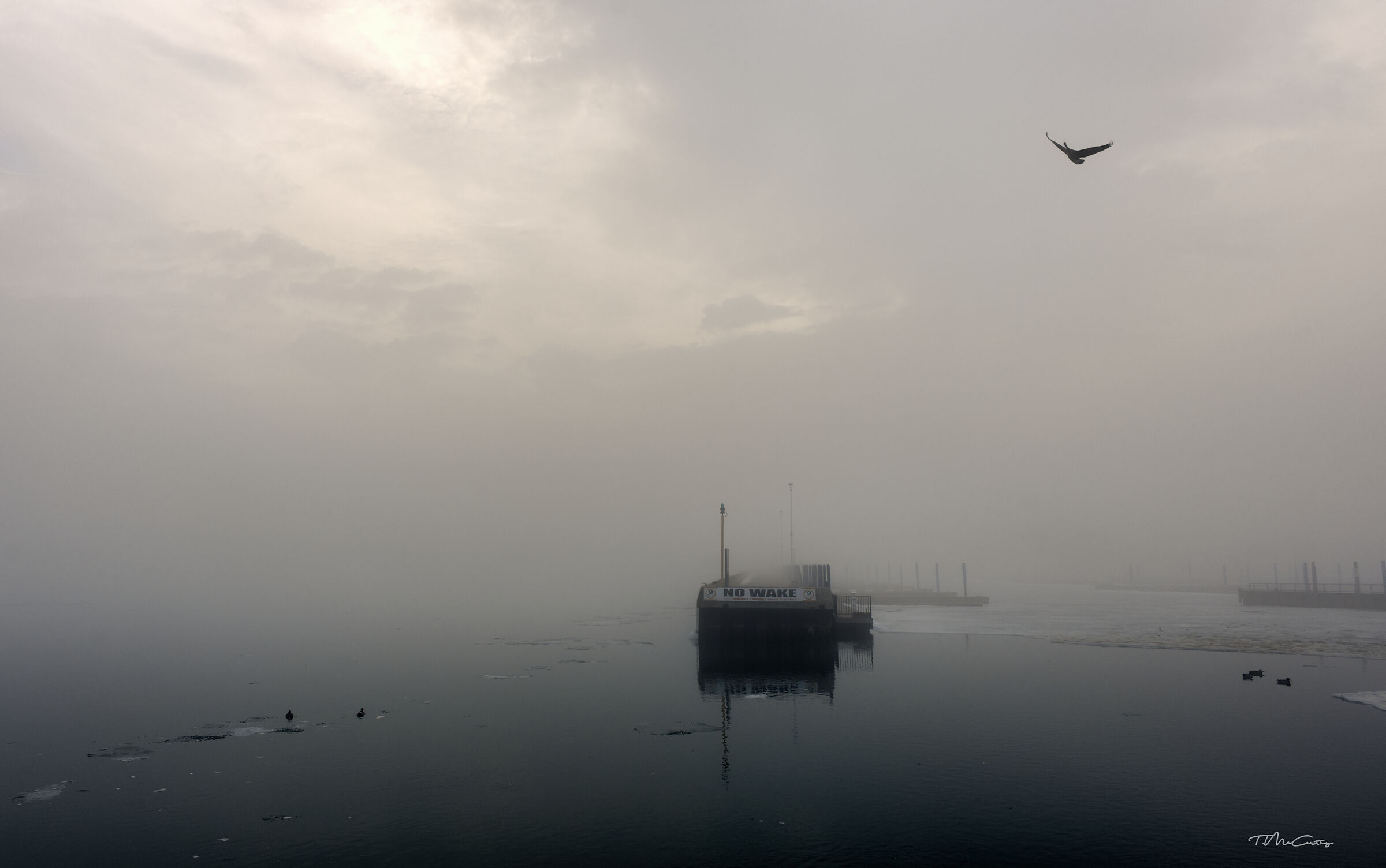 Mattina nebbiosa al porto turistico