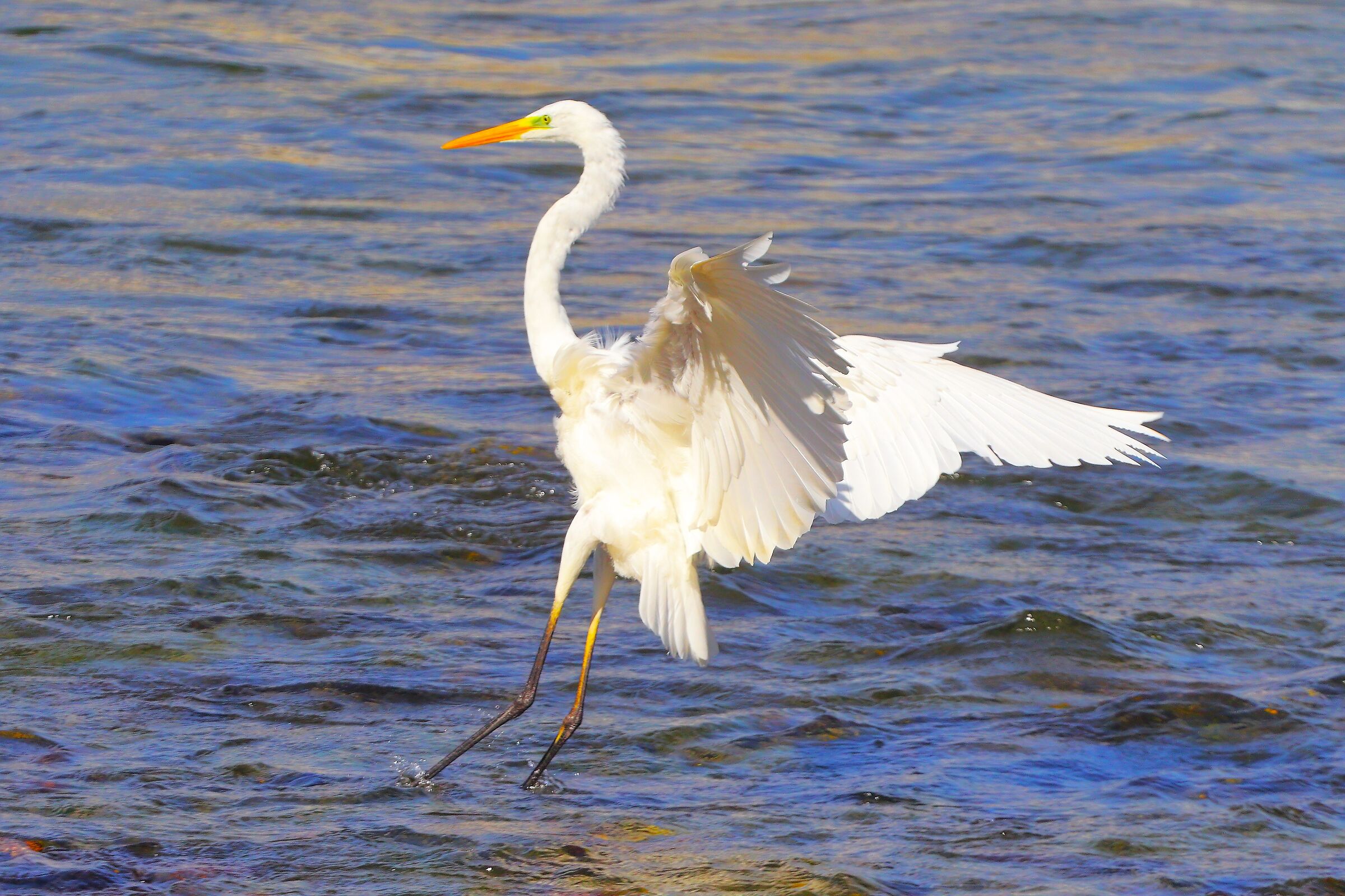 ABM 16 settembre 2025 - 0217