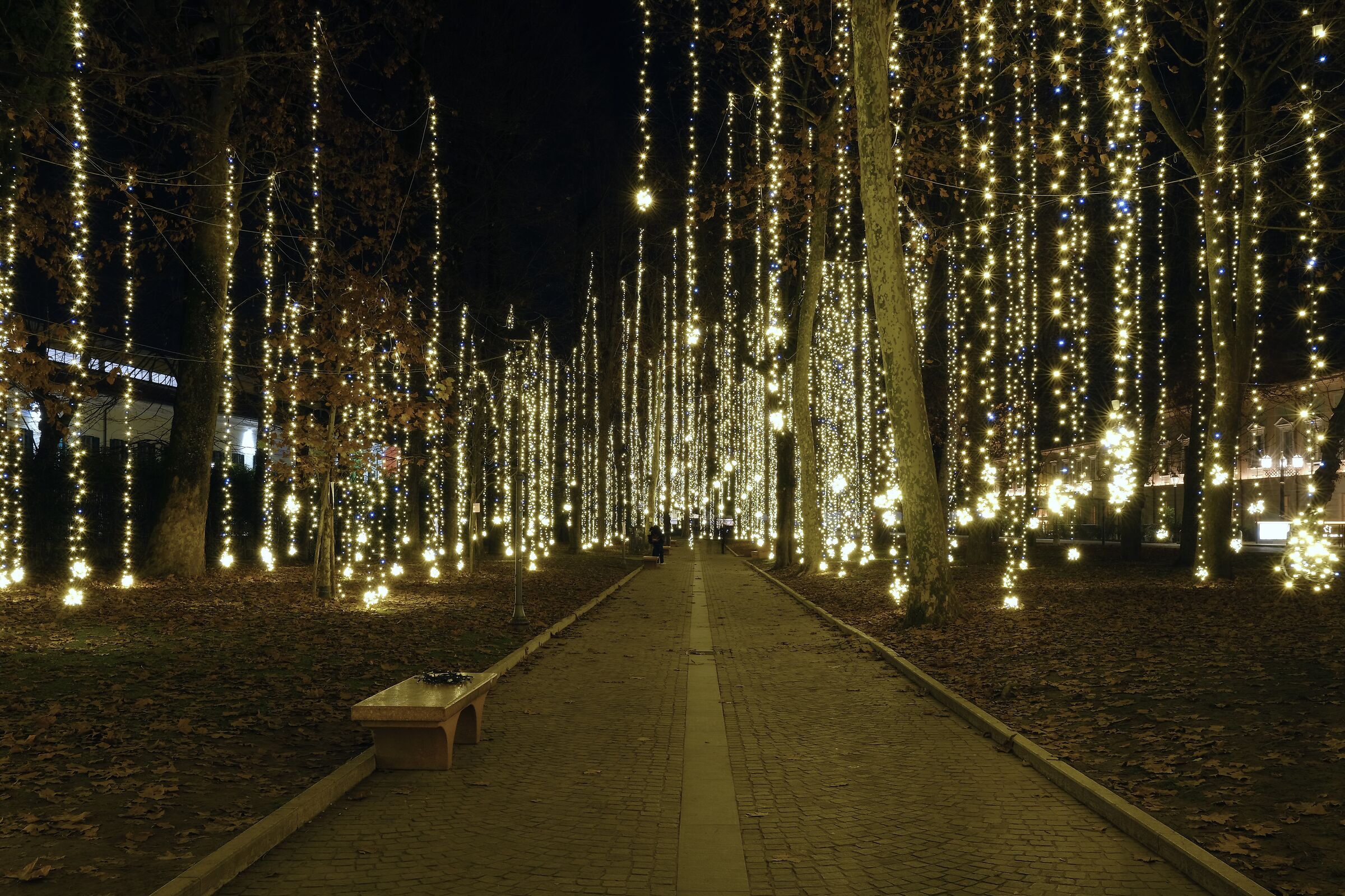 Christmas Lights in Peschiera