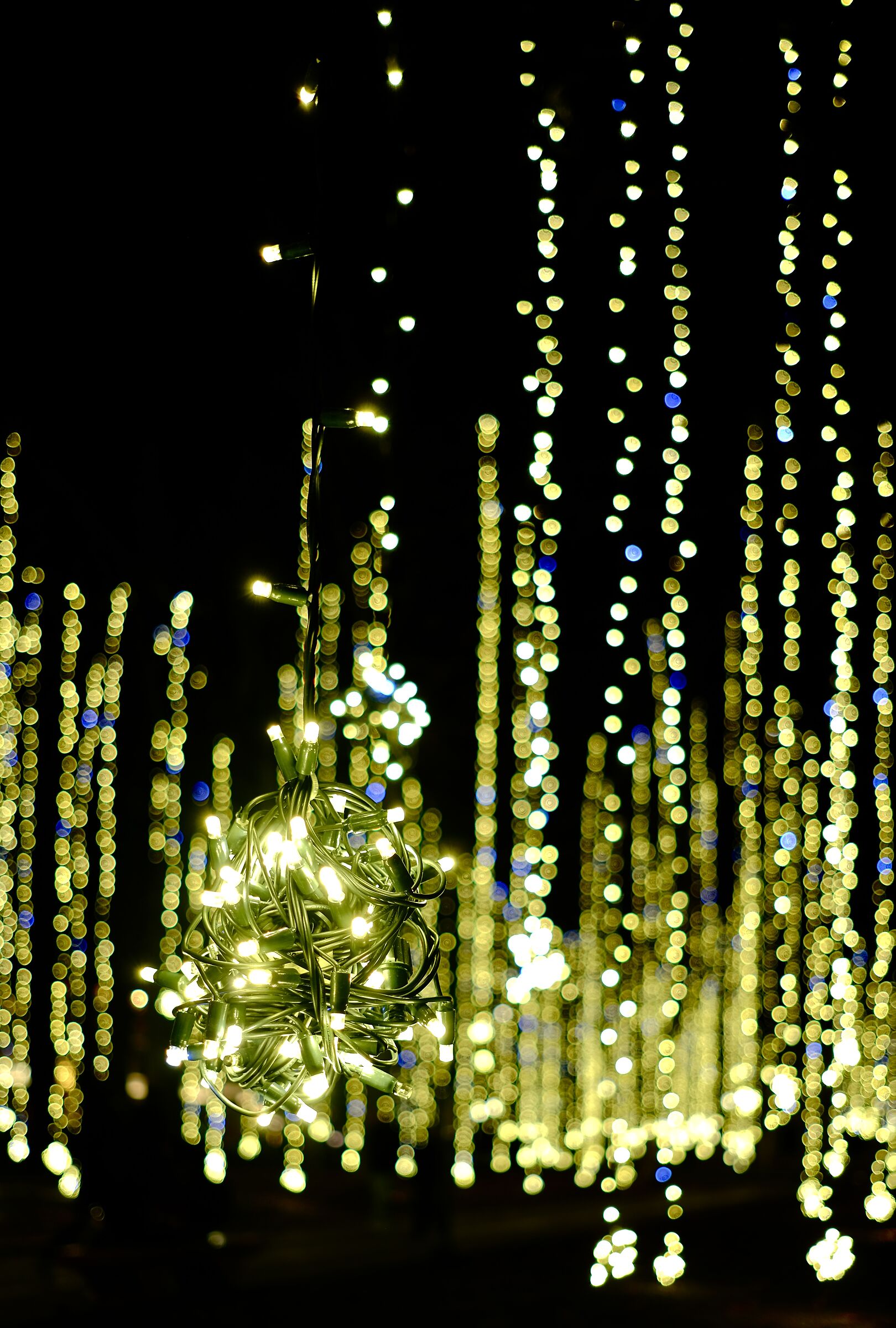 Christmas Lights in Peschiera
