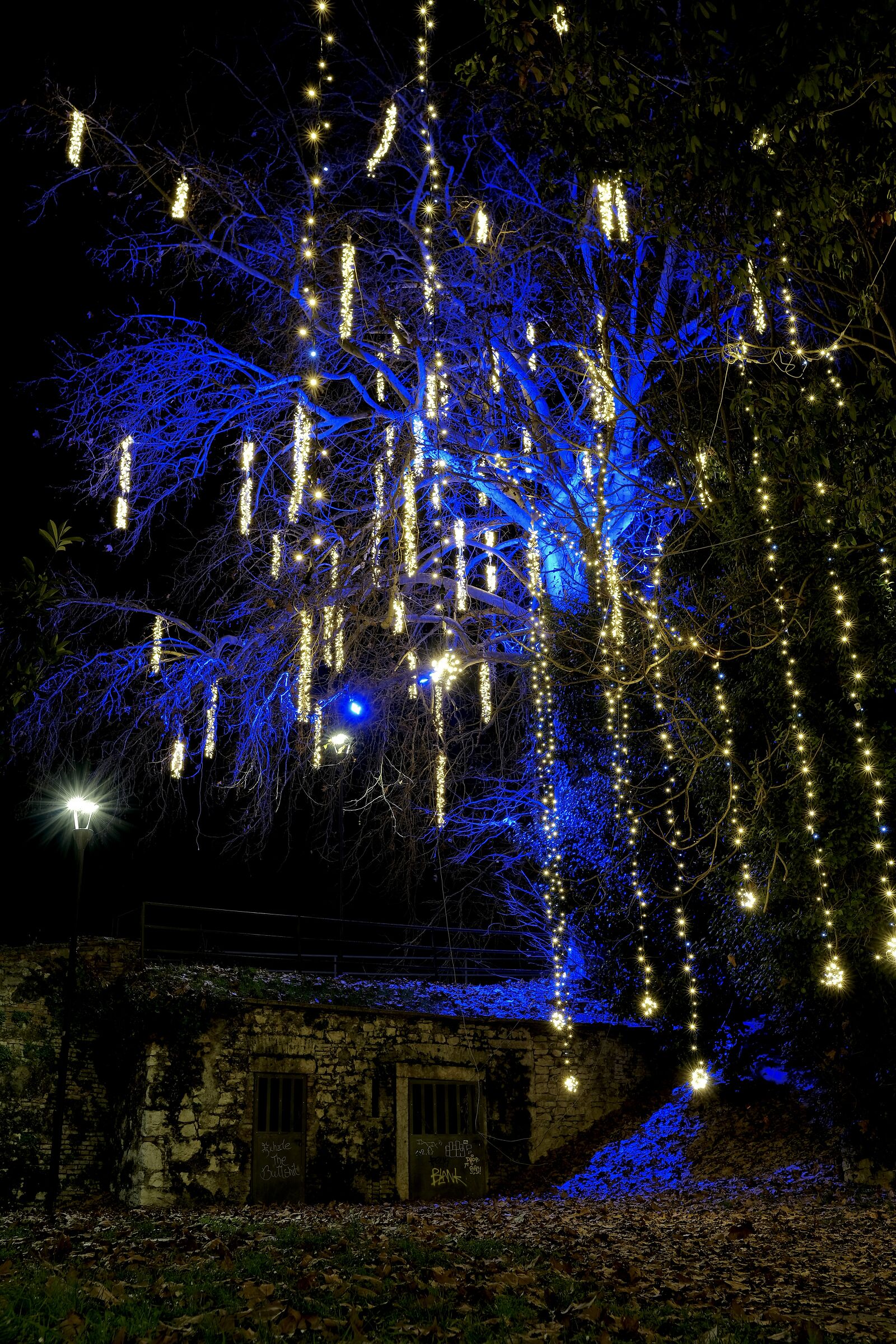 Christmas Lights in Peschiera