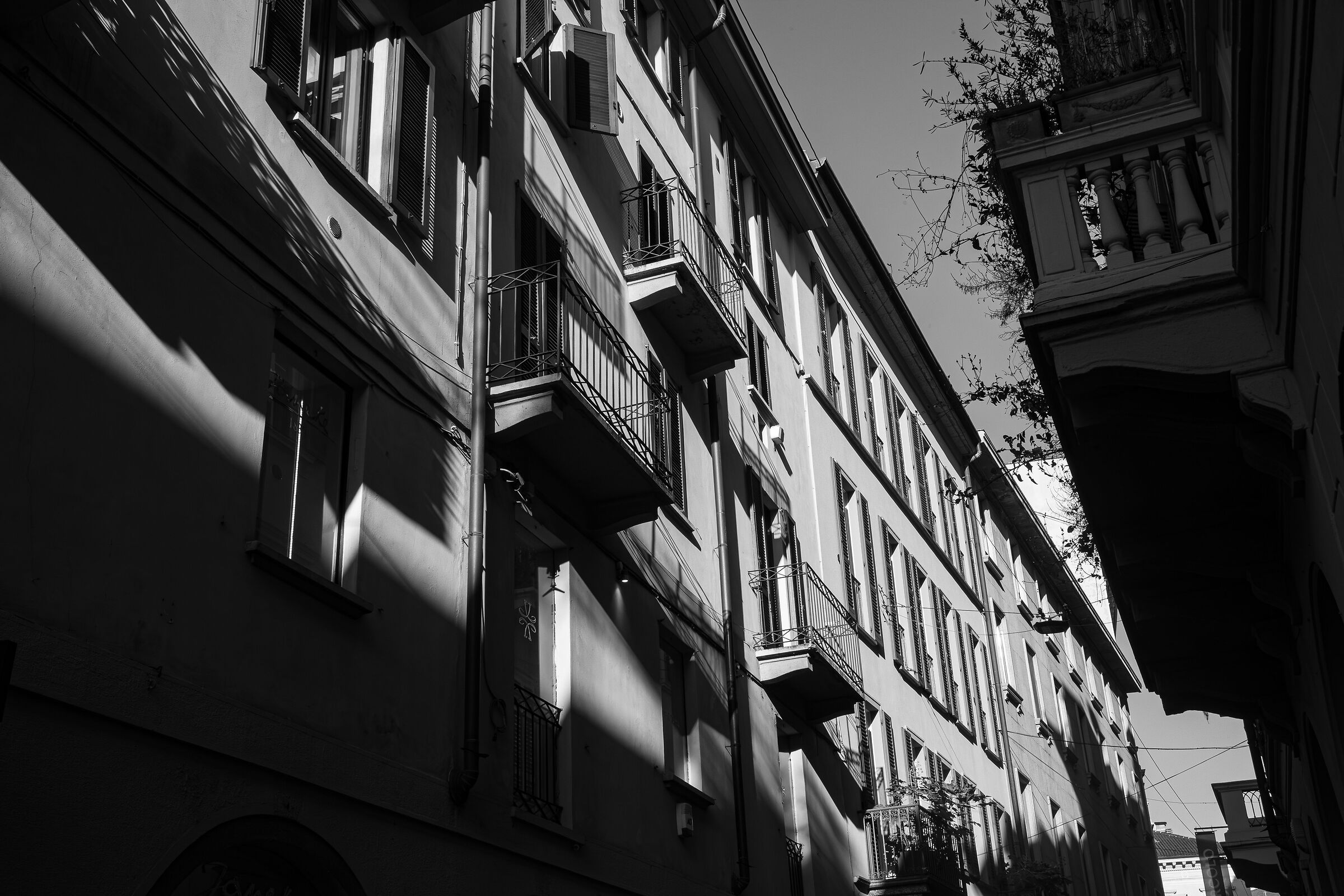 Street Milano, Via della Spiga