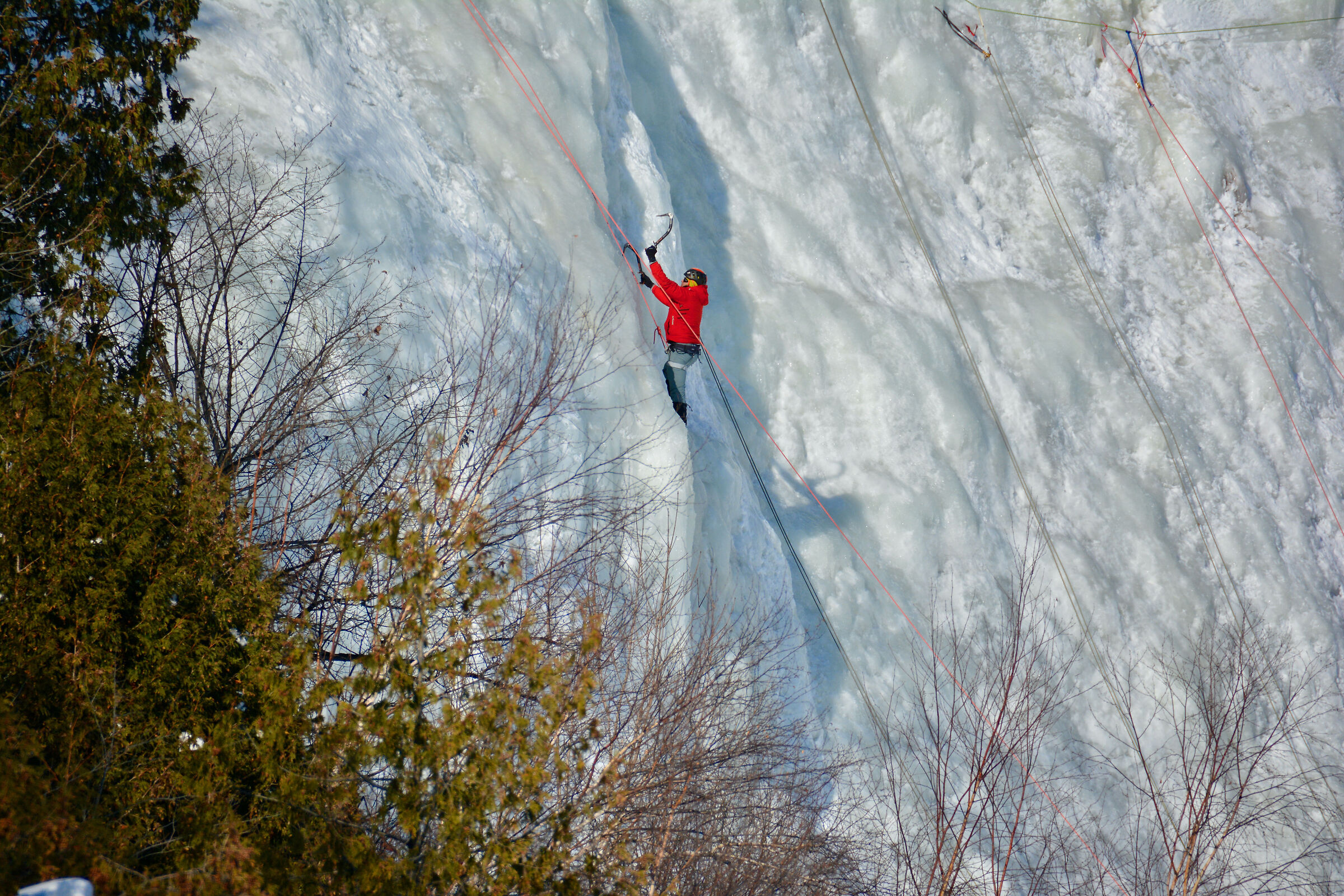 Which members of Juza would like to do this sport?