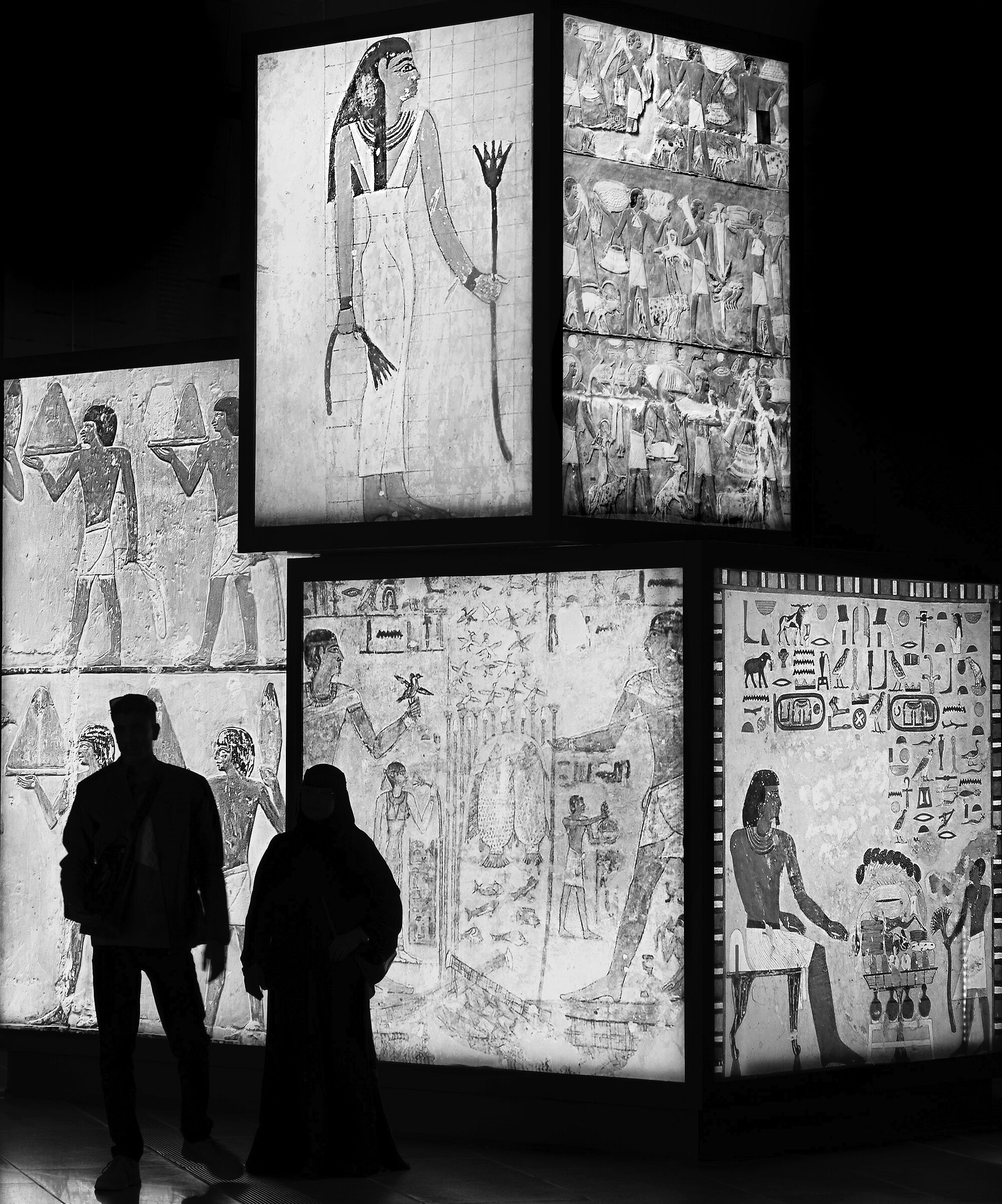 Ammirando la bellezza