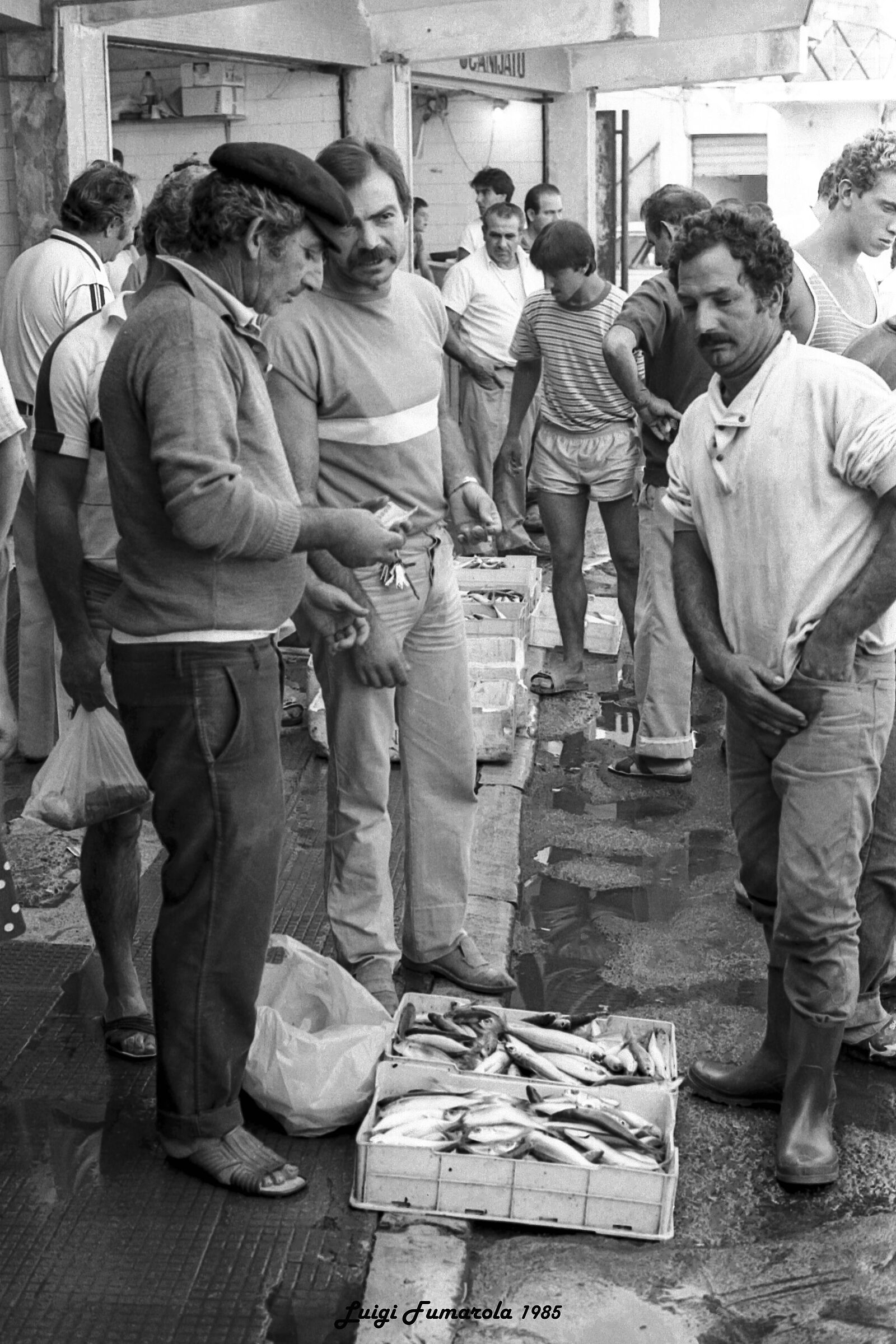 Compra-vendita del pescato