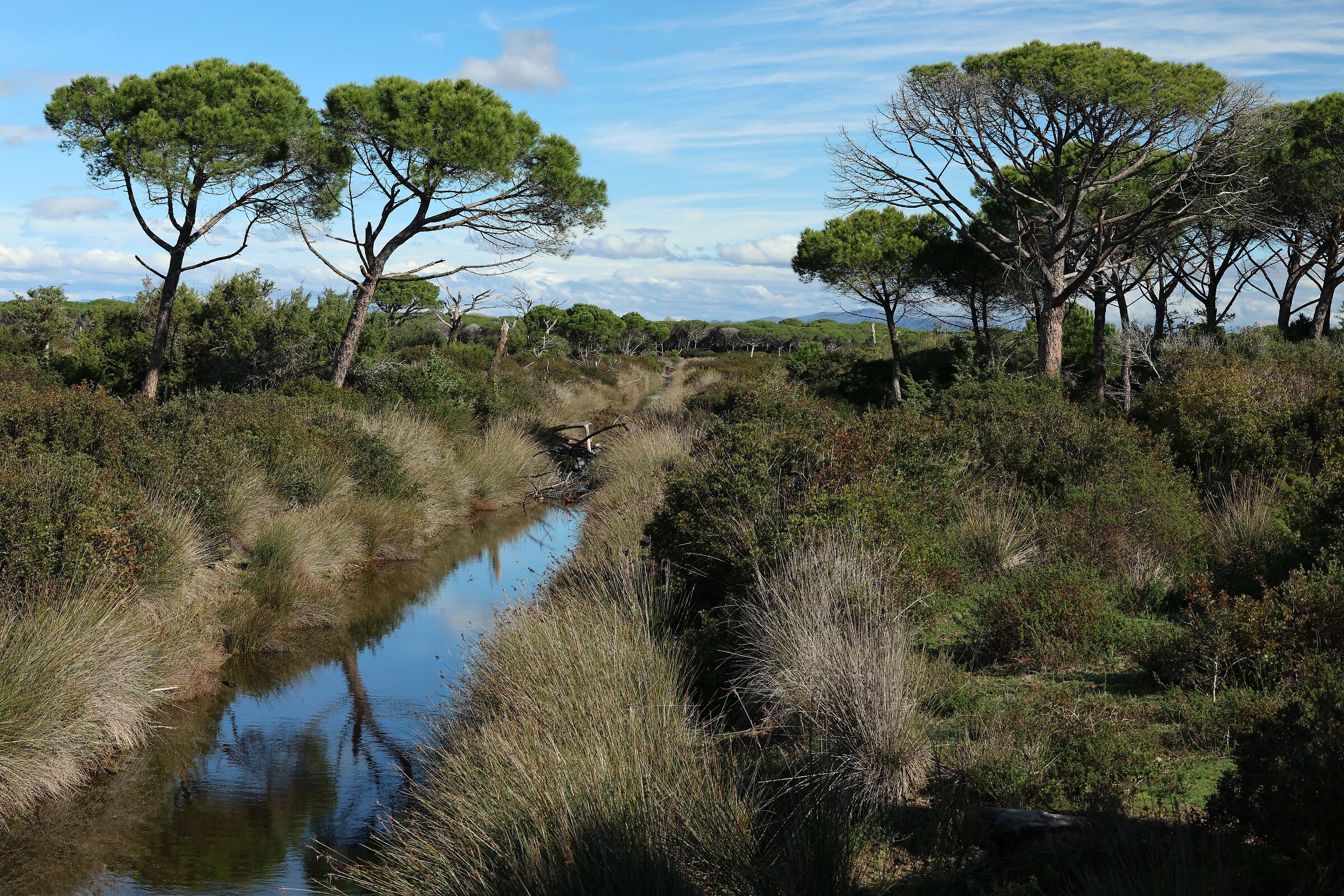 Parco Naturale della Maremma