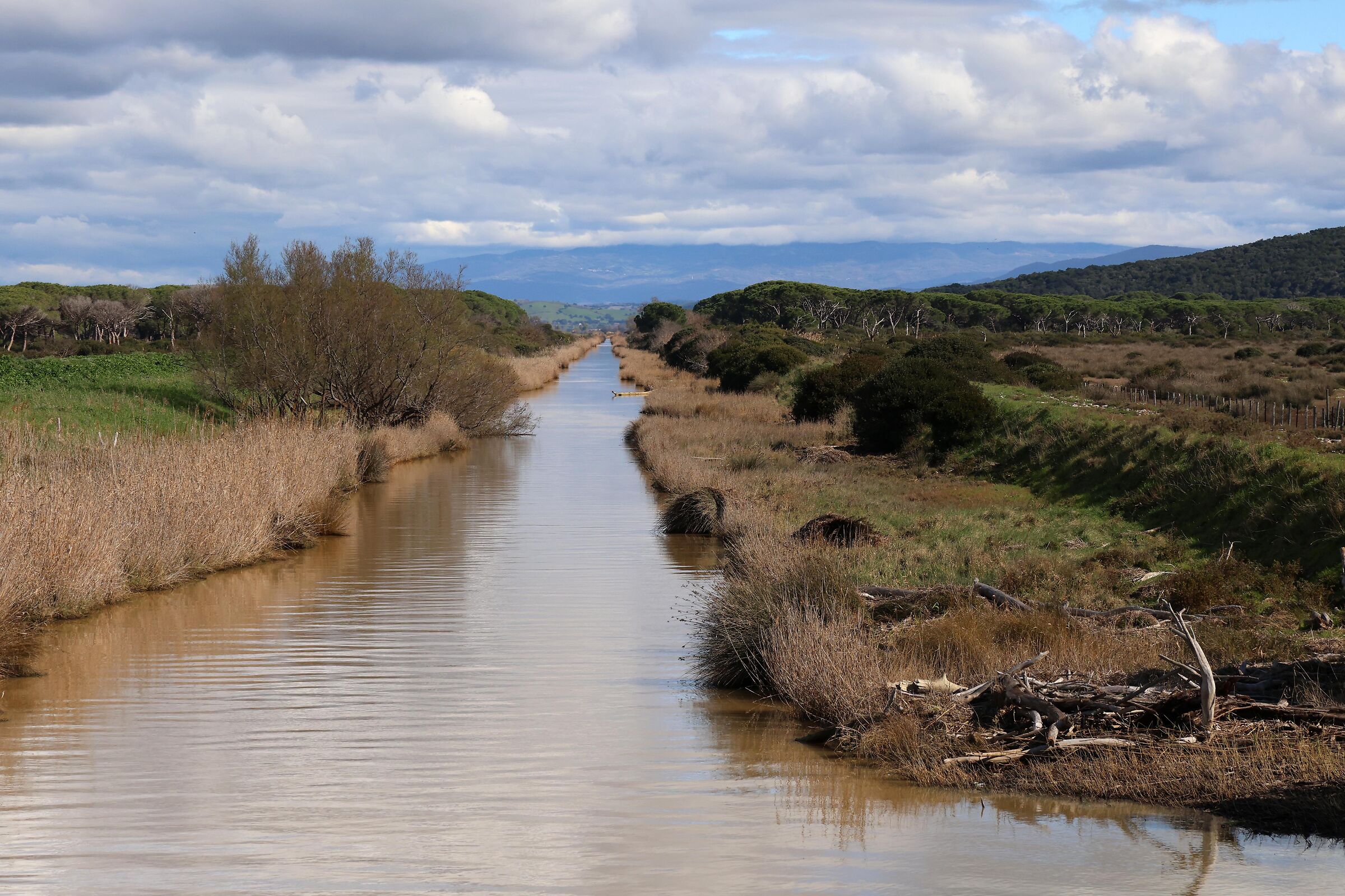 Foce del fiume Ombrone (gr)