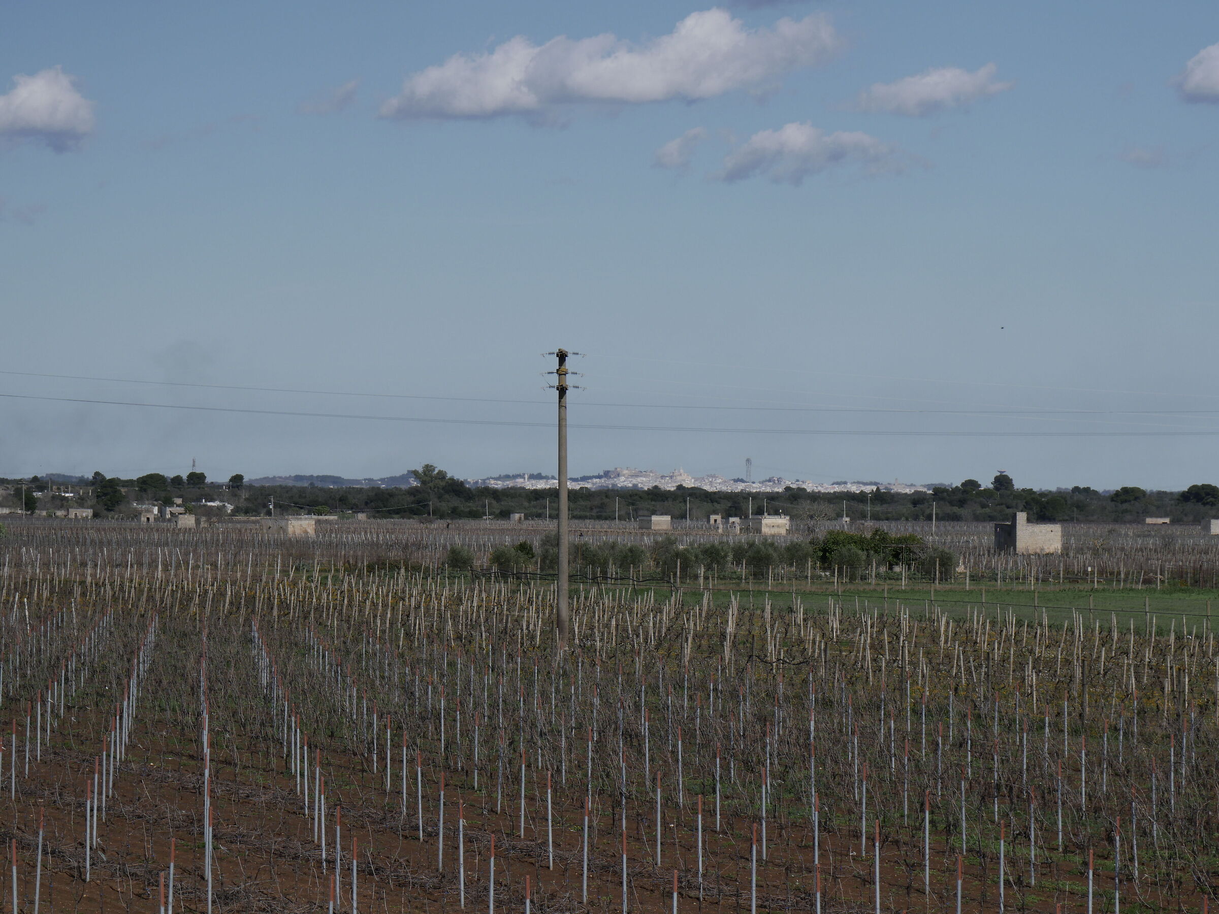 campagna