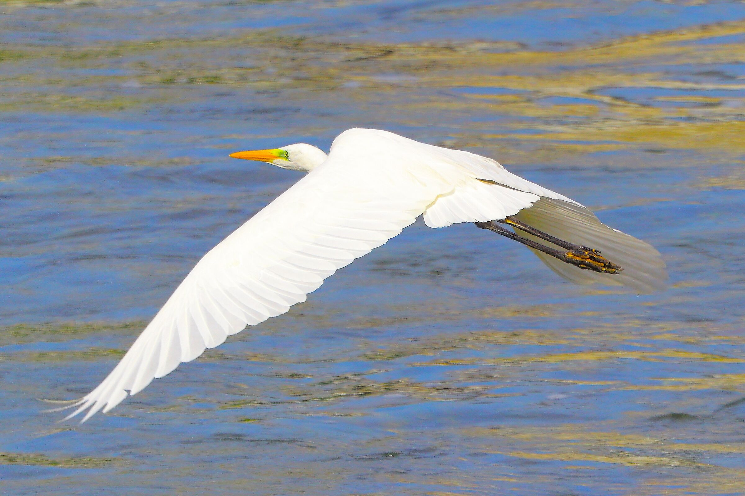 ABM settembre 2025 - 0250