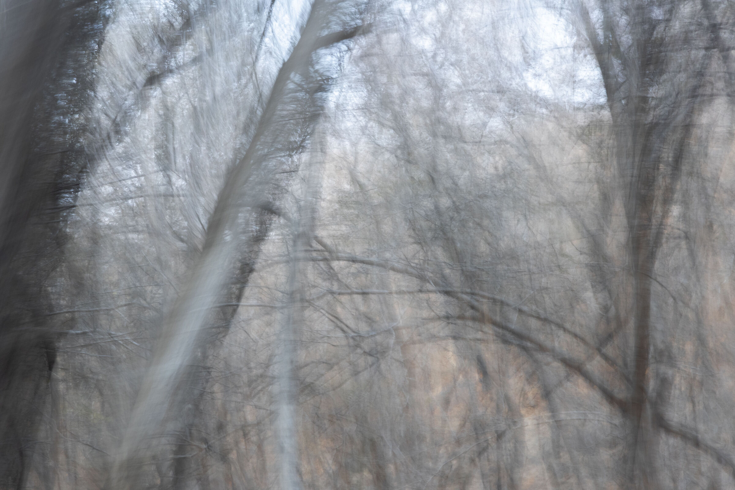 Forest abstraction