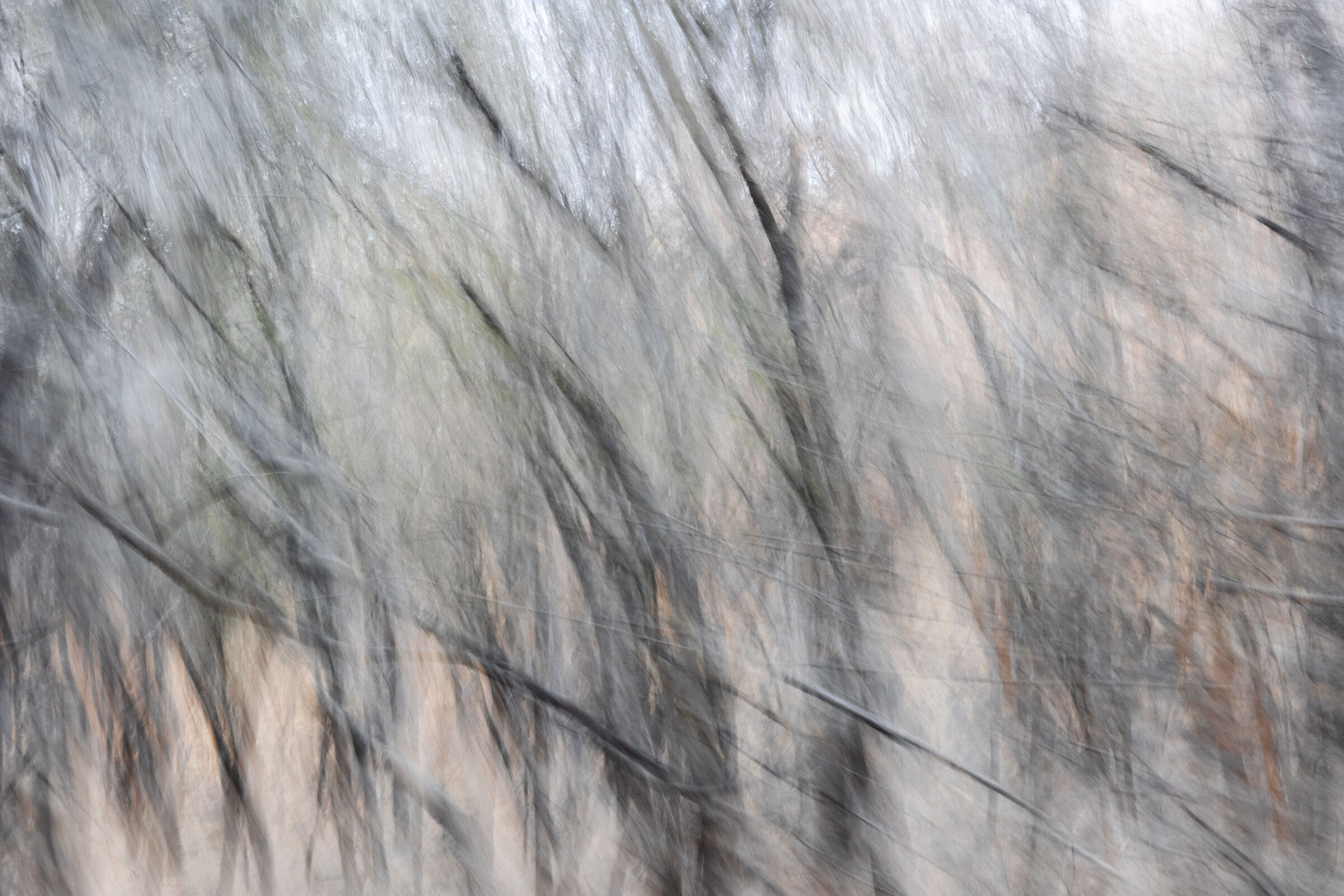 Forest abstraction