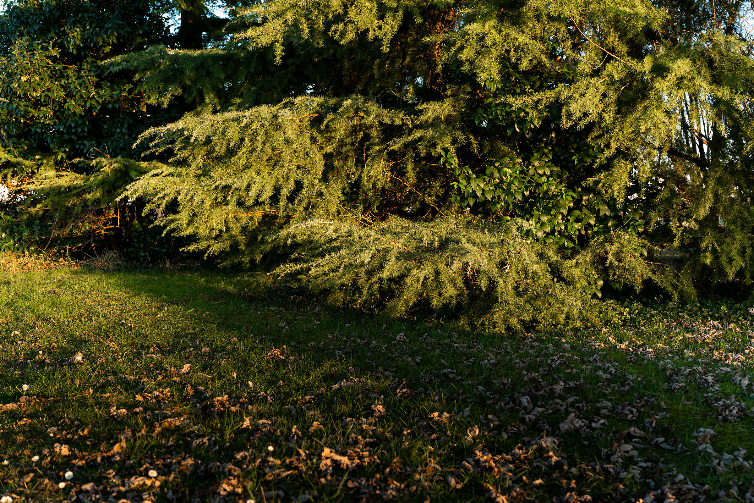 Untitled Photo