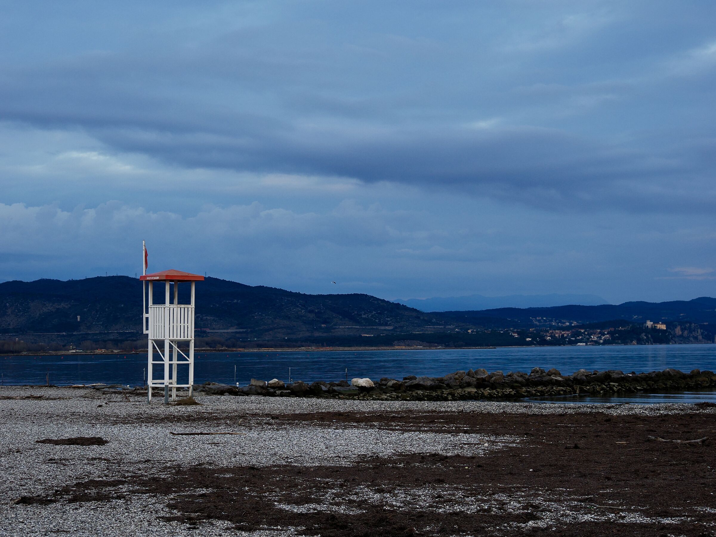 Presidi serotini nell'Alto Adriatico