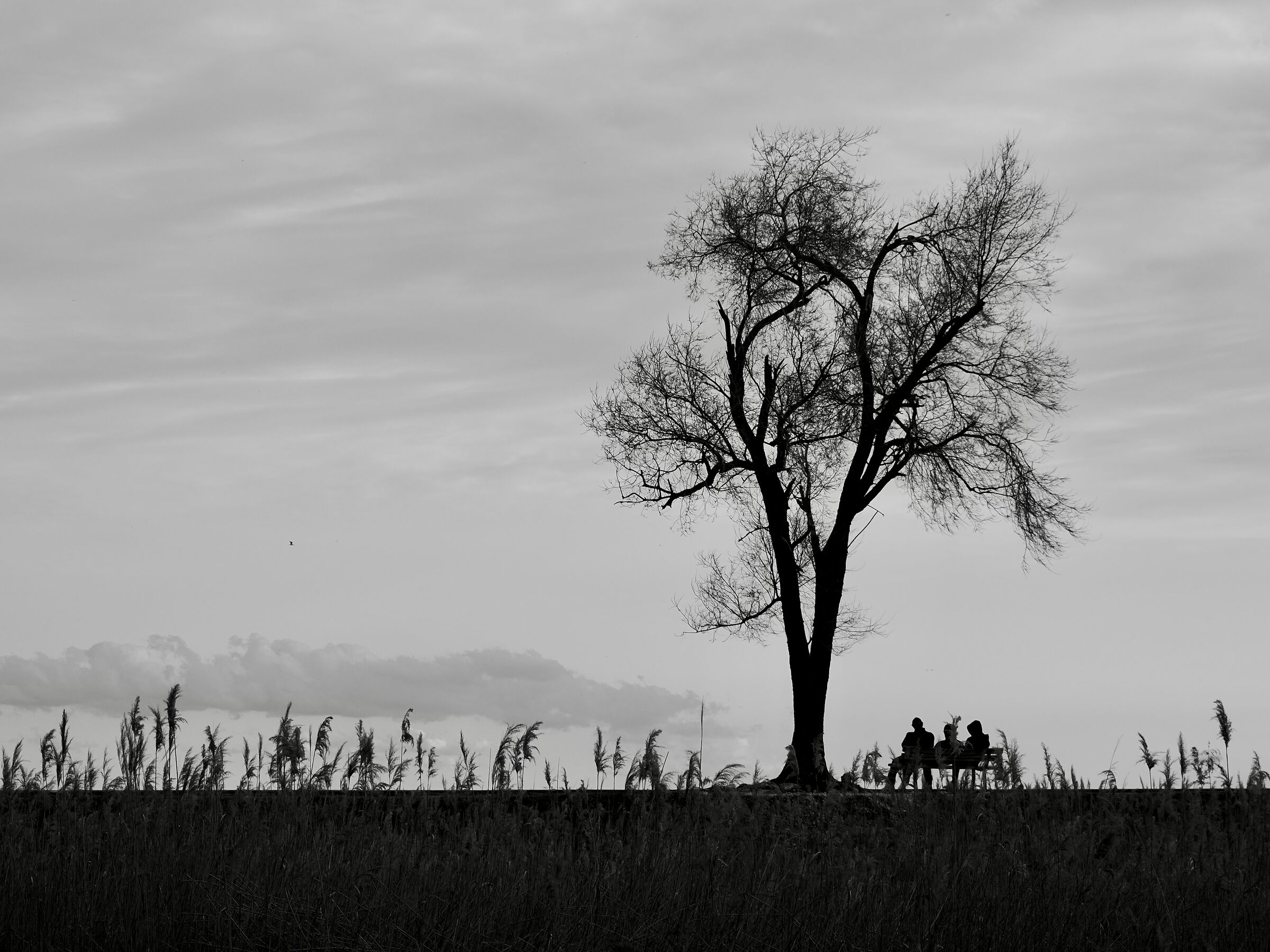 Angoli di conversazione sull'Alto Adriatico