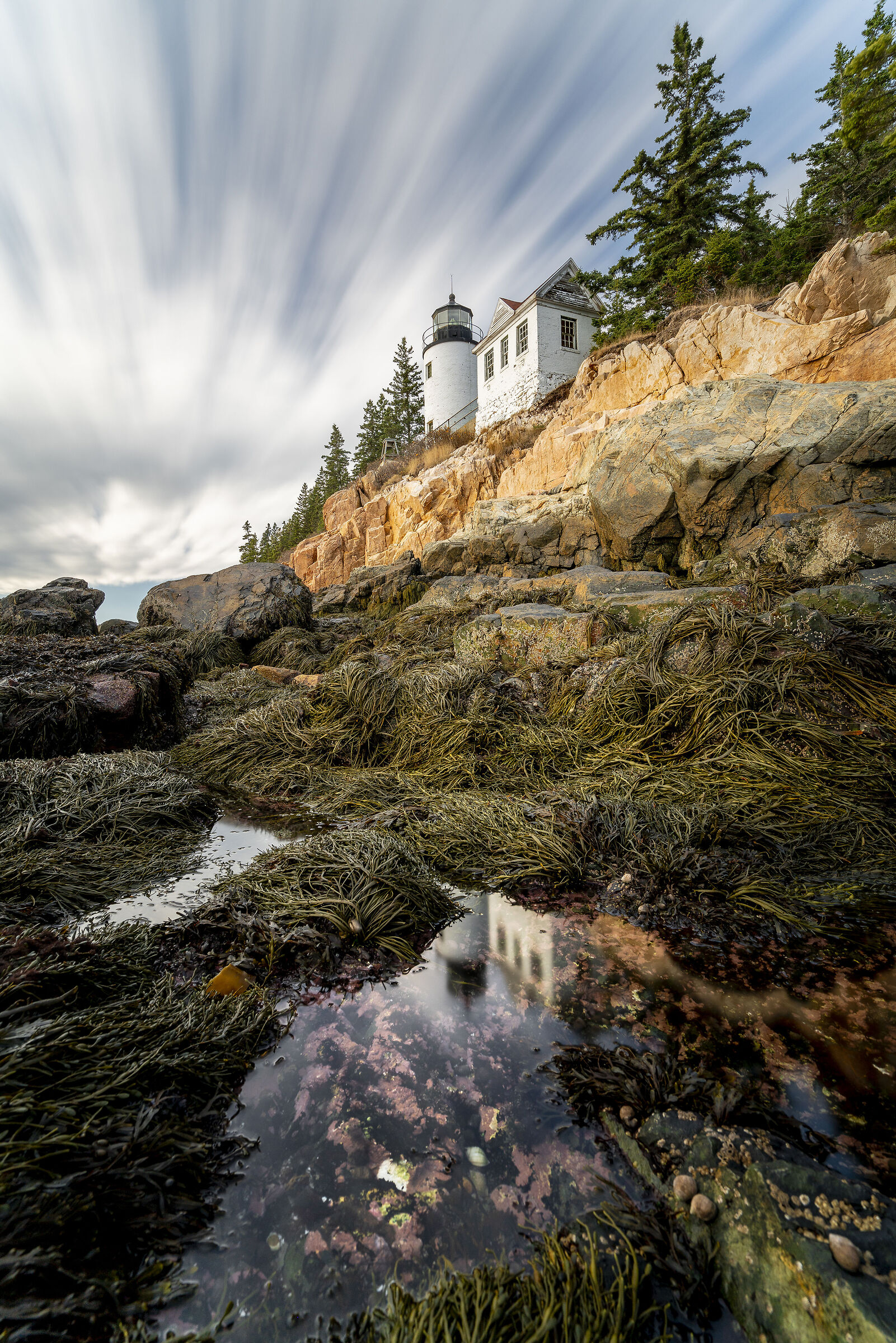 Bass Harbor Head Light