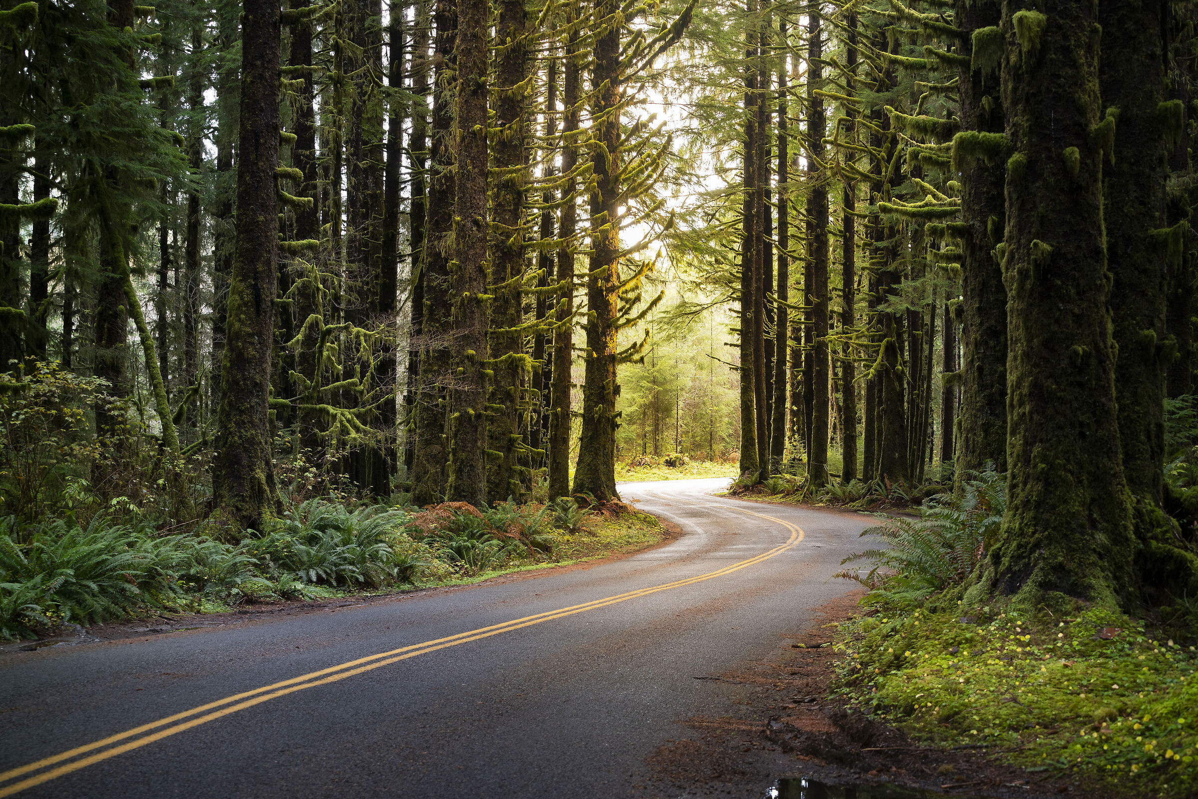 Olympic National Park