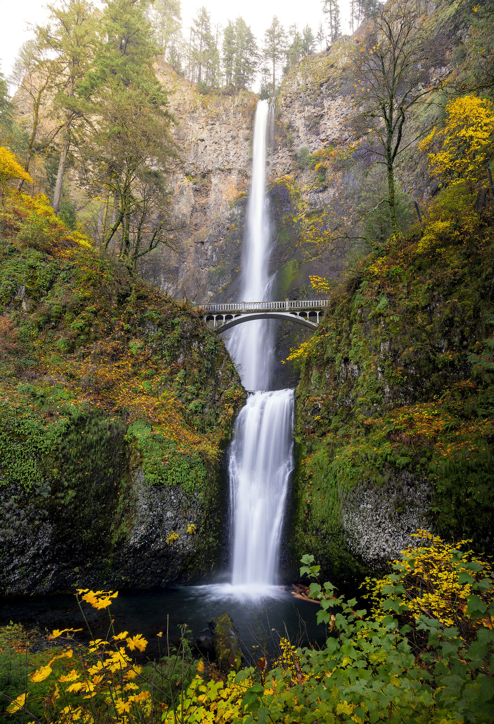 Multnomah Falls