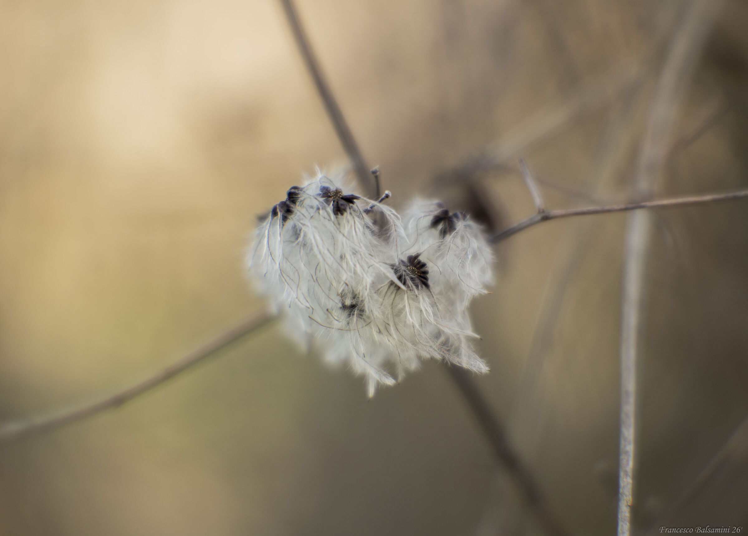 Untitled Photo